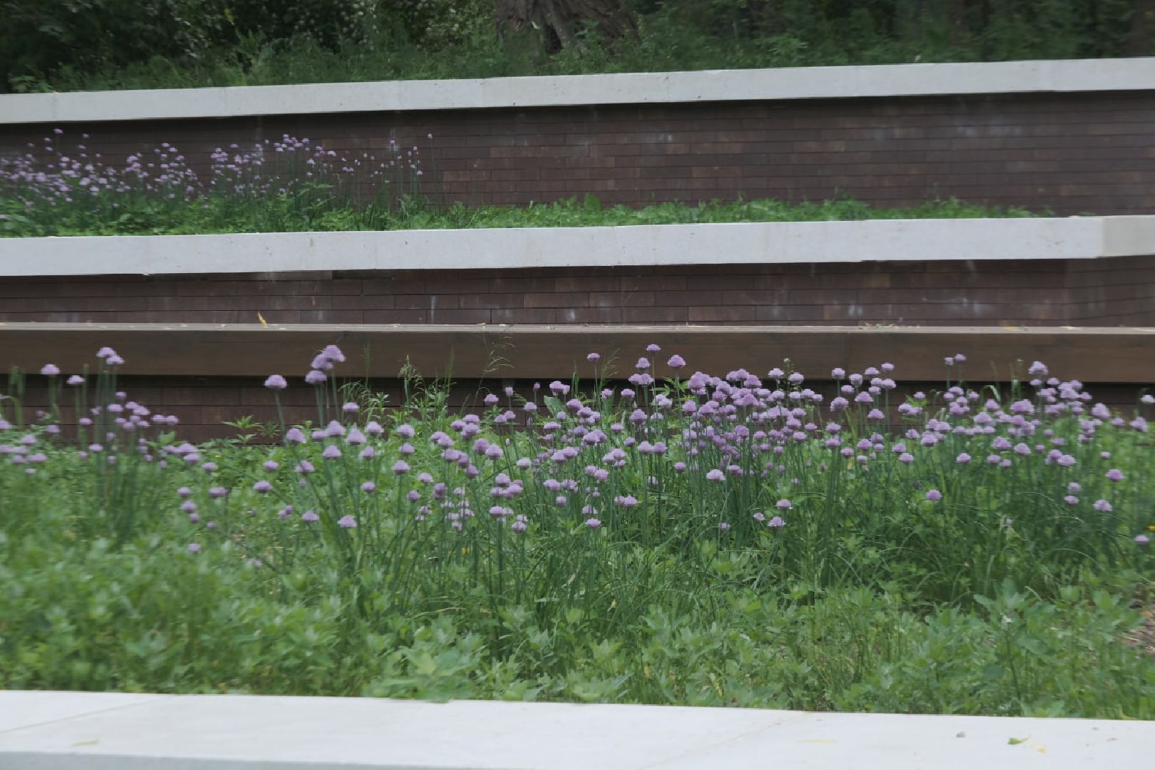 пущино, серпухов, благоуйстройство, национальные проекты,