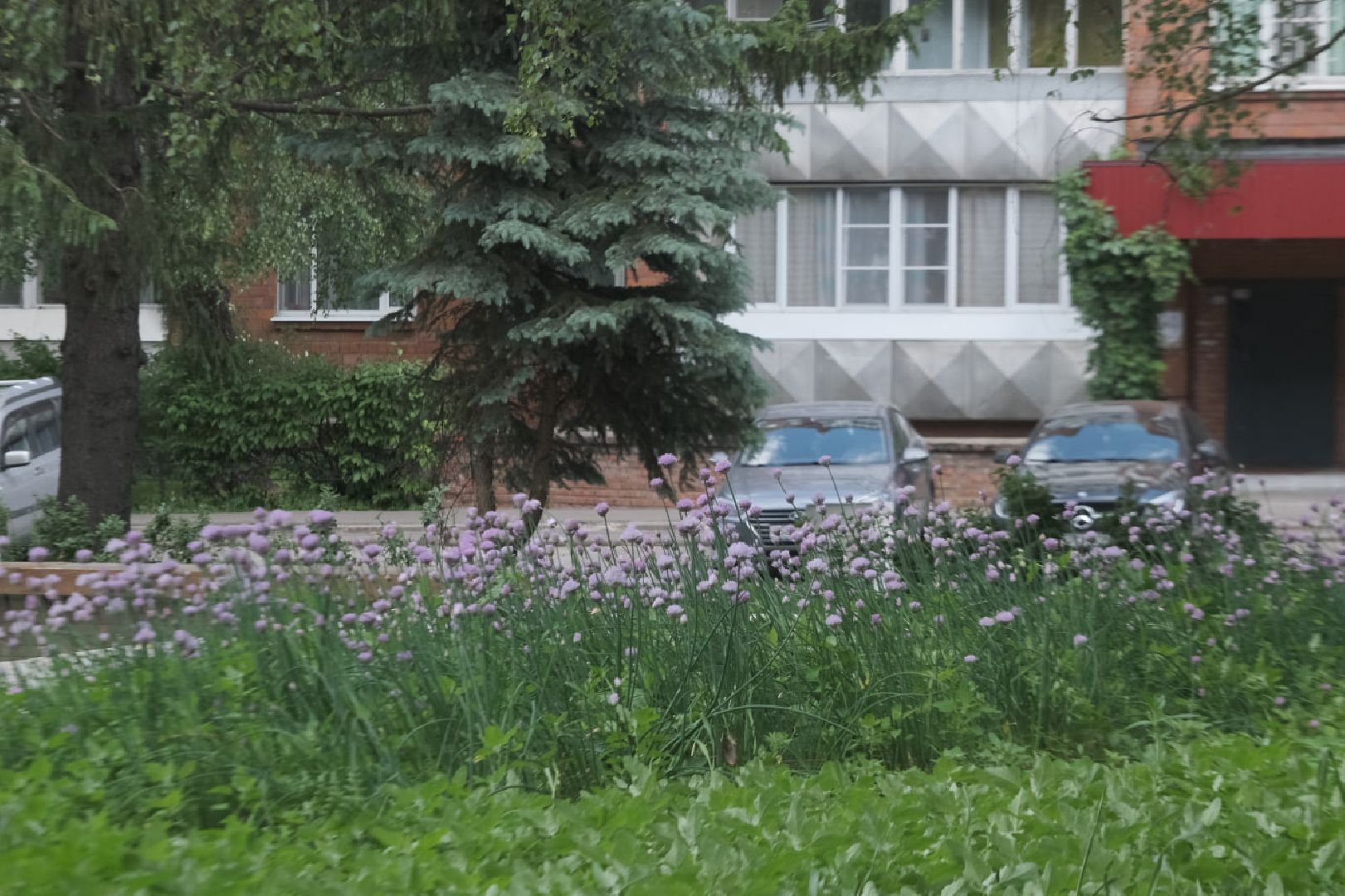 пущино, серпухов, благоуйстройство, национальные проекты,