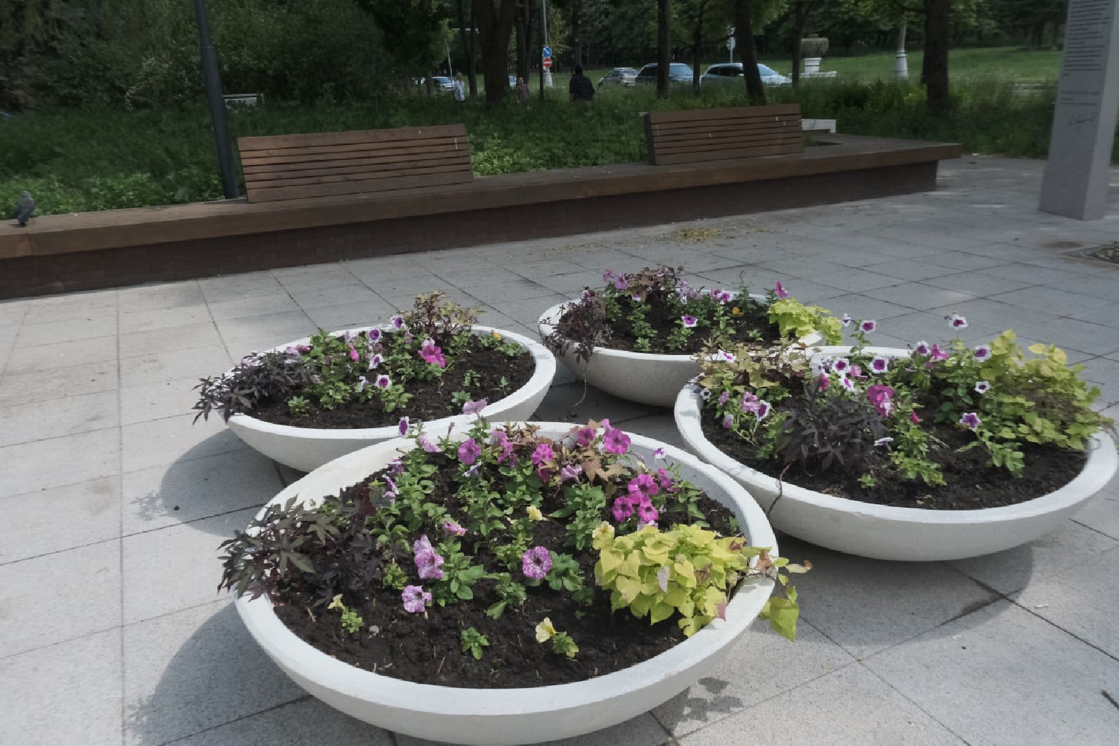 пущино, серпухов, благоуйстройство, национальные проекты,