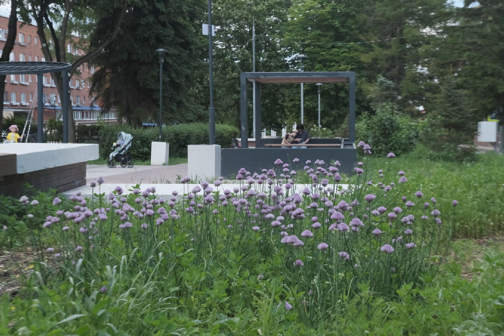 пущино, серпухов, благоуйстройство, национальные проекты,