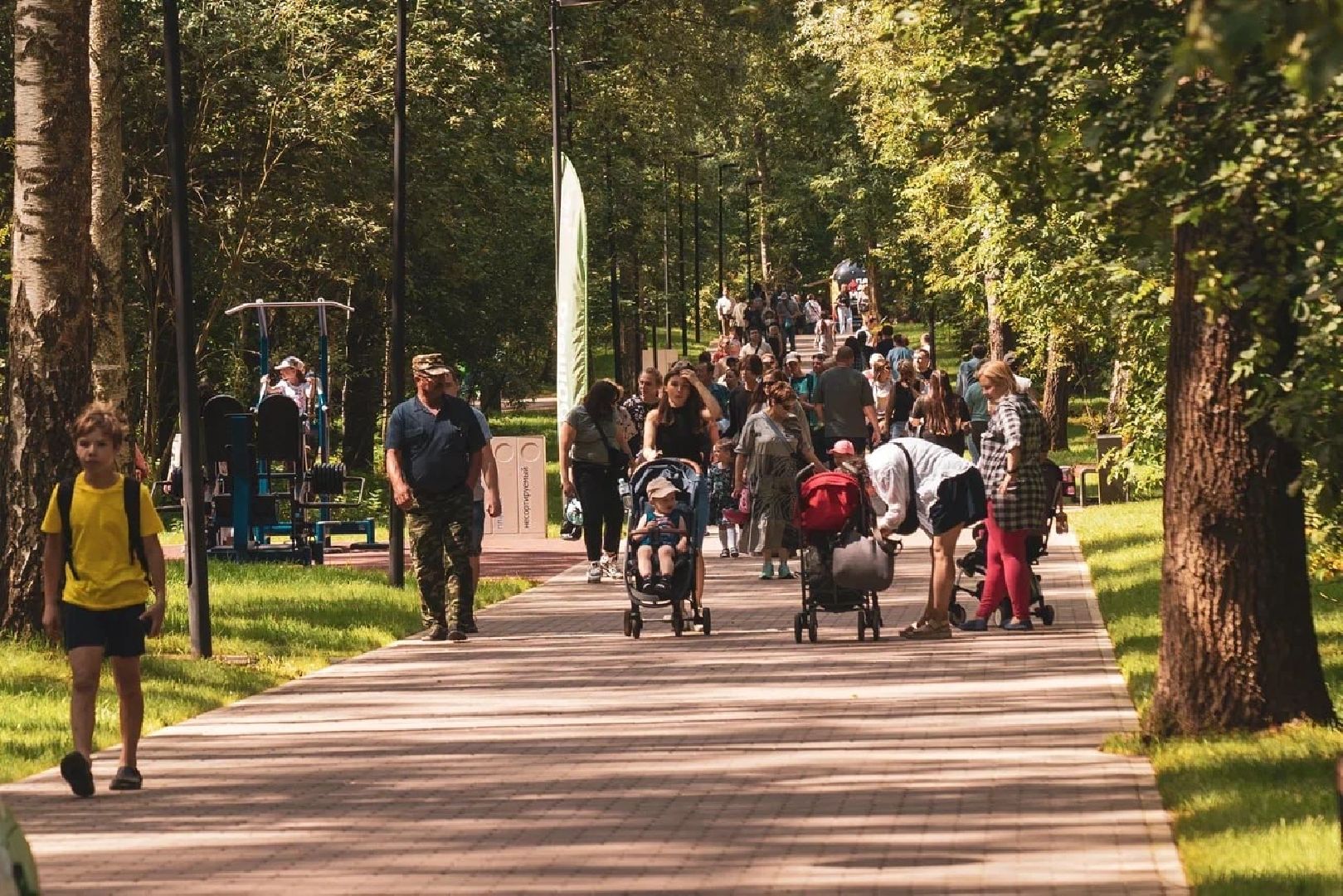 парк Елочки, министр культуры Подмосковья, зампред правительства Подмосковья, Домодедово,