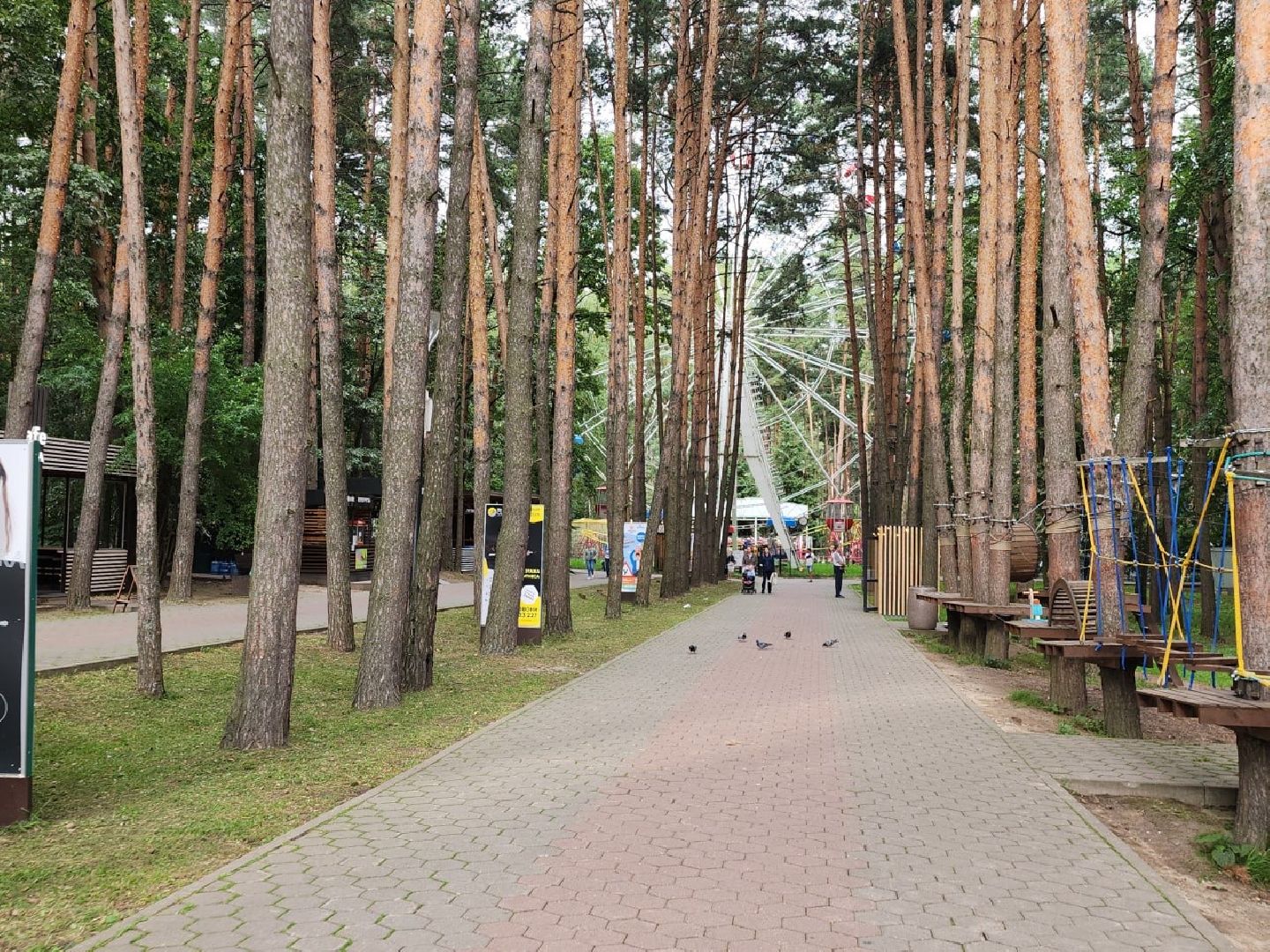 парк Елочки, министр культуры Подмосковья, зампред правительства Подмосковья, Домодедово,