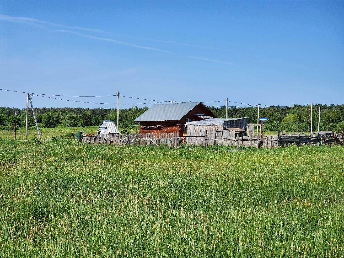 ногинск, деревня, власть, жители, подтопление, паводки, богородский городский округ,