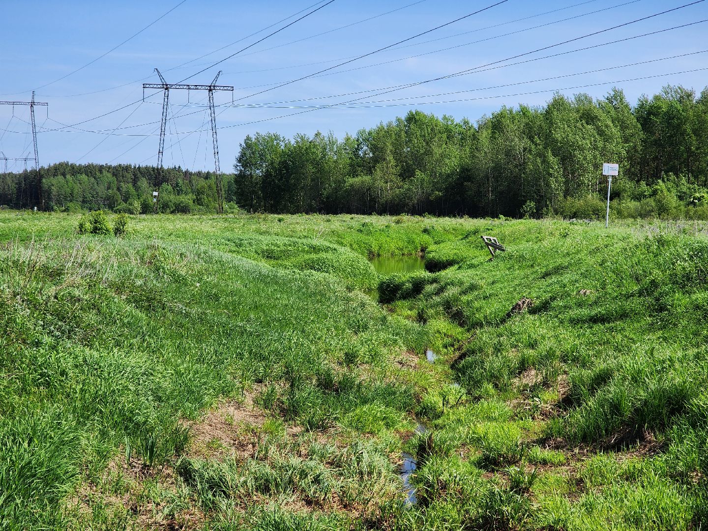 ногинск, деревня, власть, жители, подтопление, паводки, богородский городский округ,