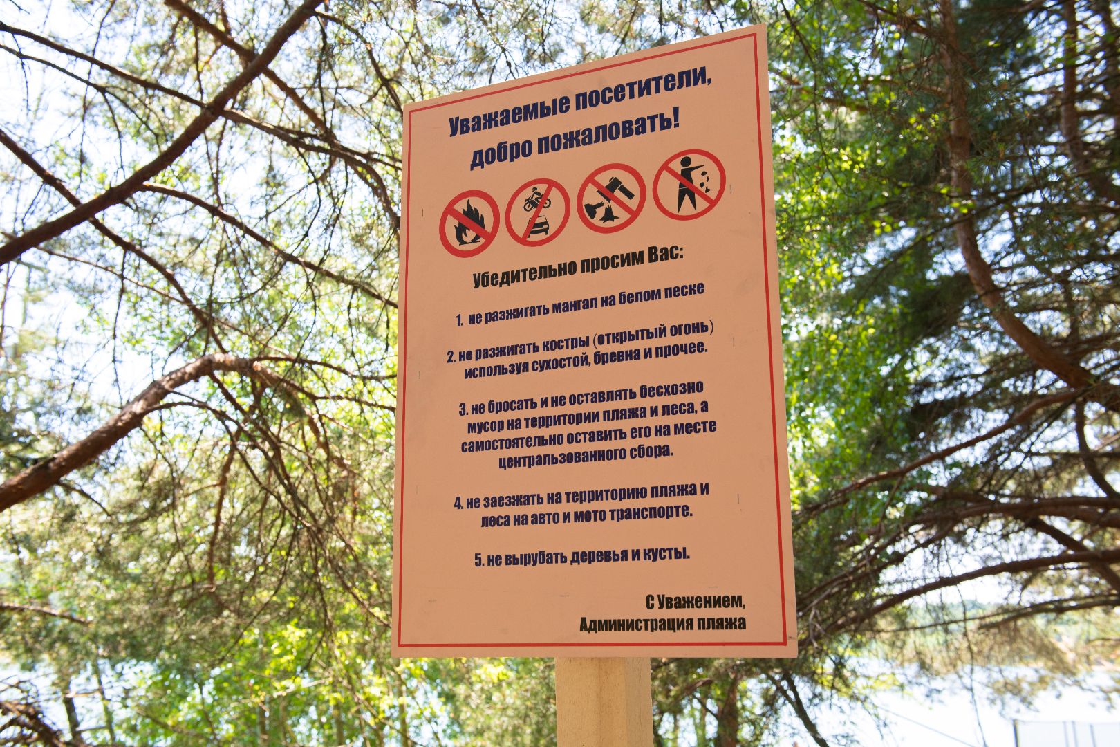 лыткарино, медицина, лето в подмосковье, карьер, волкуша, пляжный сезон,