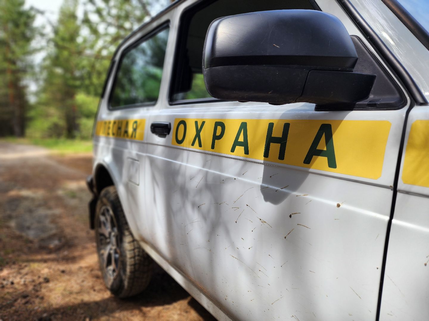 воскресенск, пожарная безопасность, лес, лесничество,