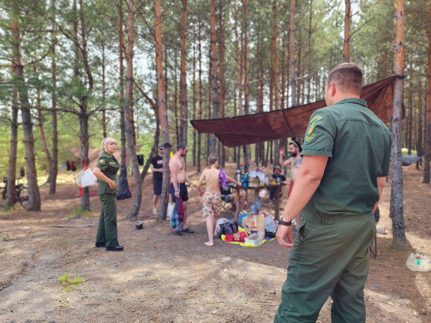 воскресенск, пожарная безопасность, лес, лесничество,