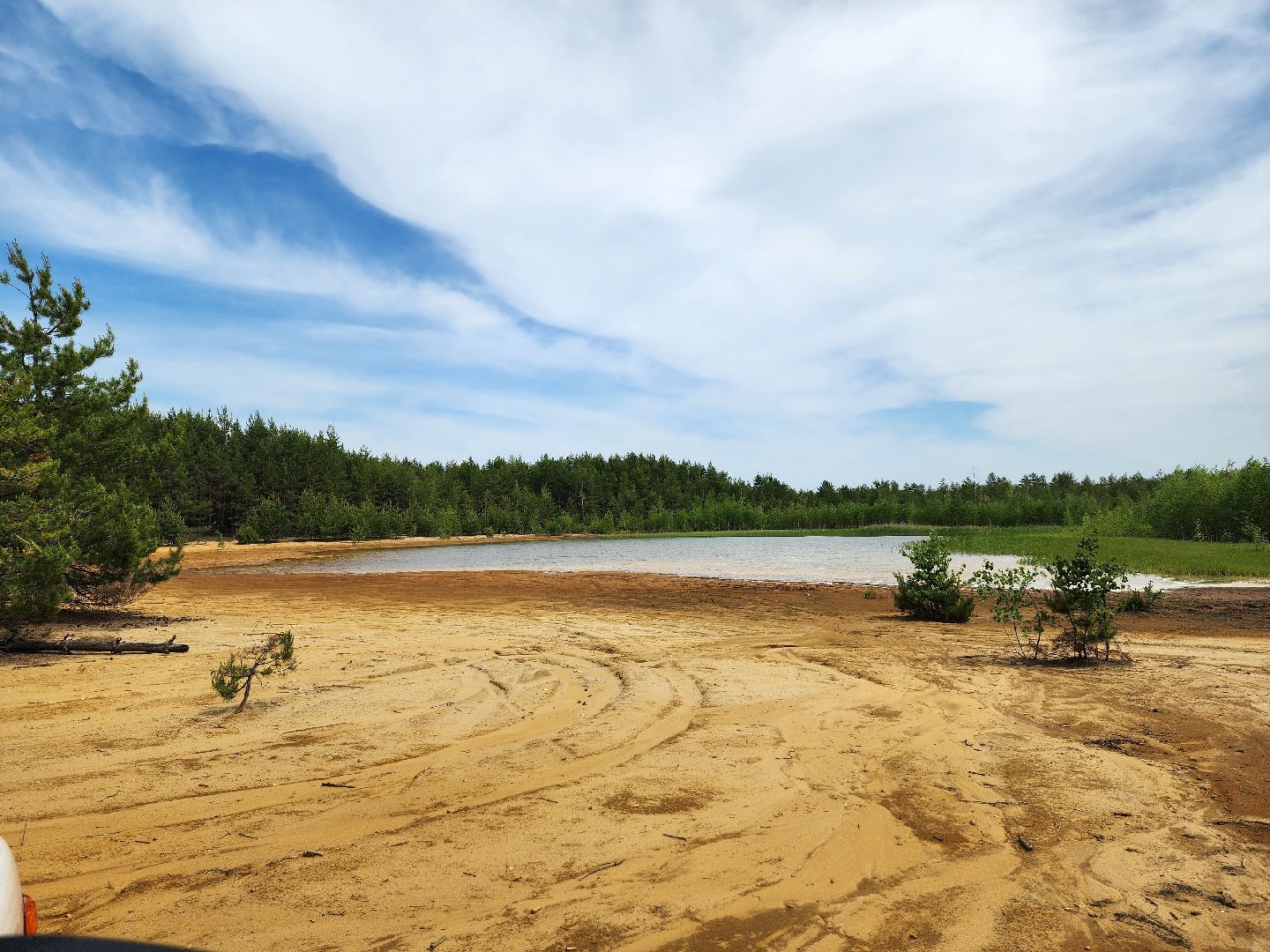 воскресенск, пожарная безопасность, лес, лесничество,