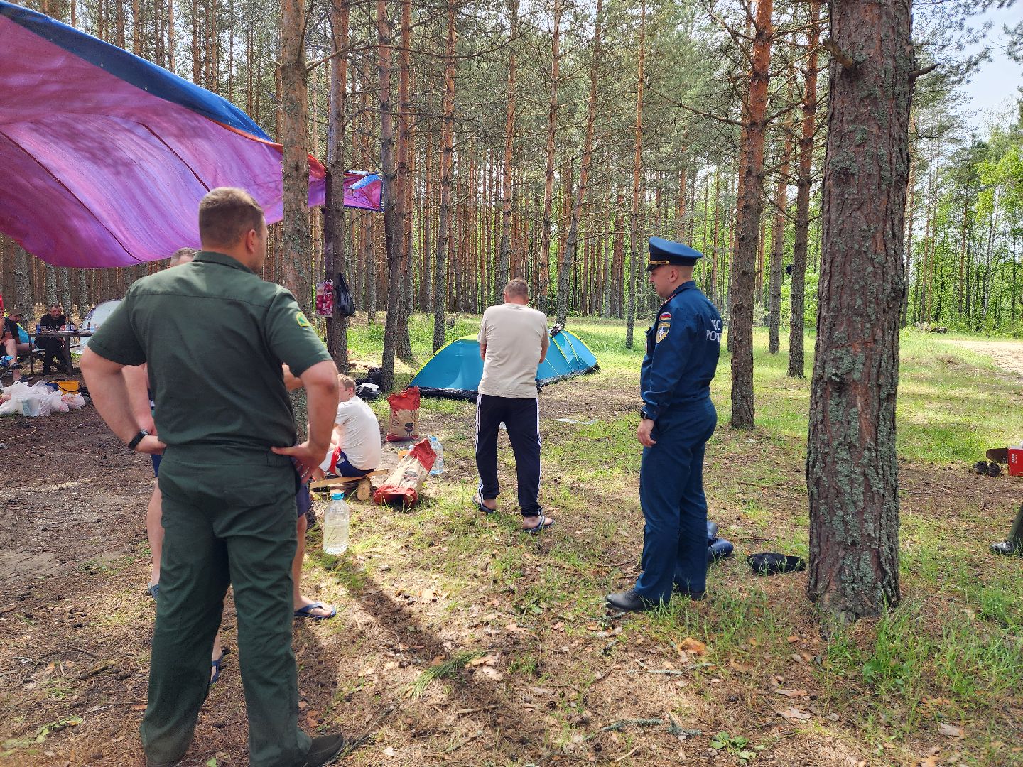 воскресенск, пожарная безопасность, лес, лесничество,