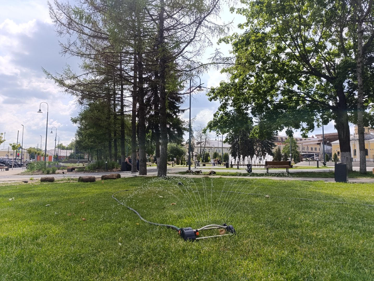 Бртнницы, Благоустройство, Газон, Замена газона, мбу благоустройство,