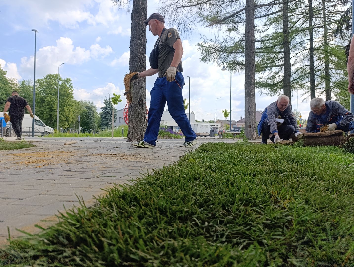 Бртнницы, Благоустройство, Газон, Замена газона, мбу благоустройство,