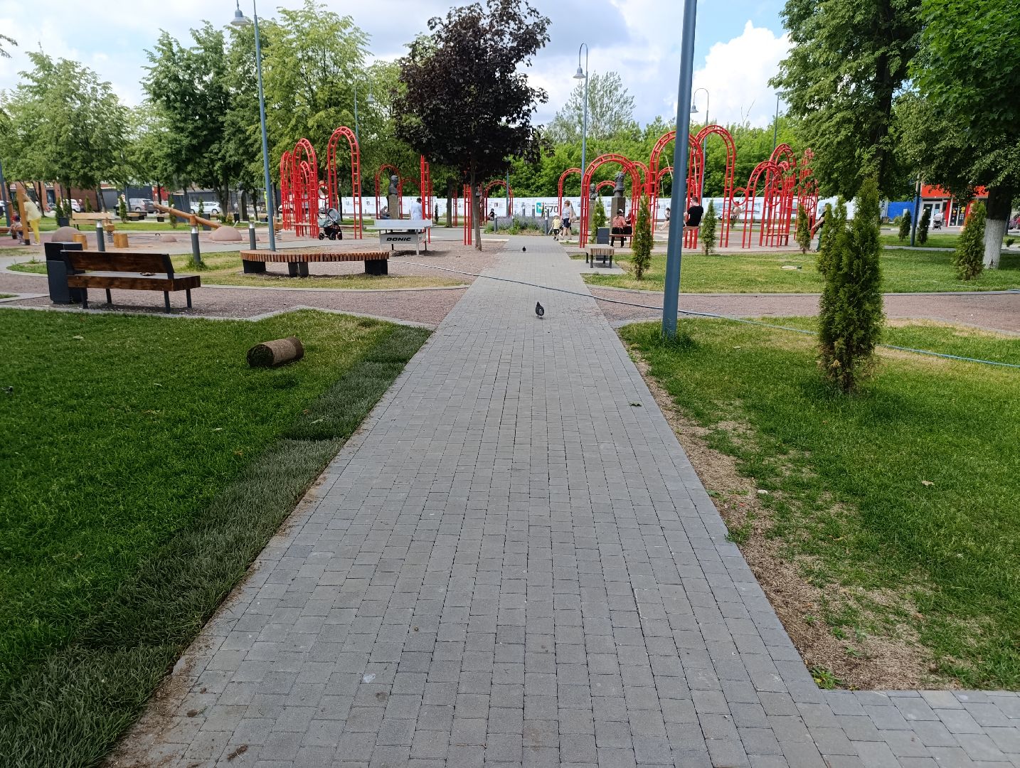 Бртнницы, Благоустройство, Газон, Замена газона, мбу благоустройство,