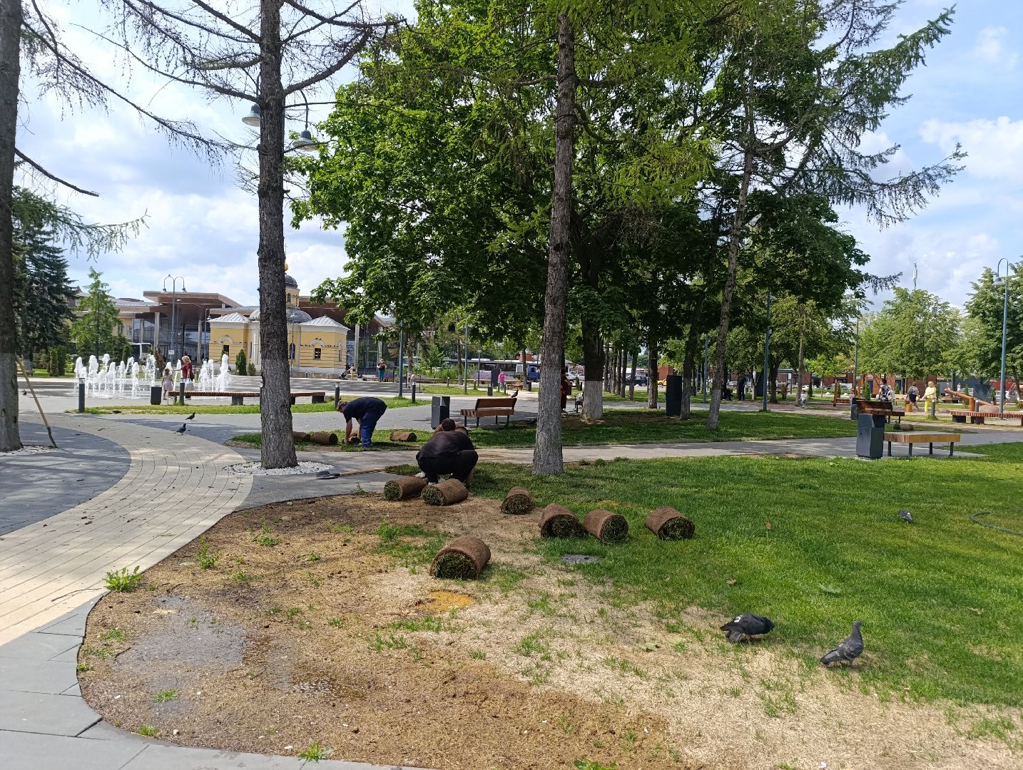 Бртнницы, Благоустройство, Газон, Замена газона, мбу благоустройство,