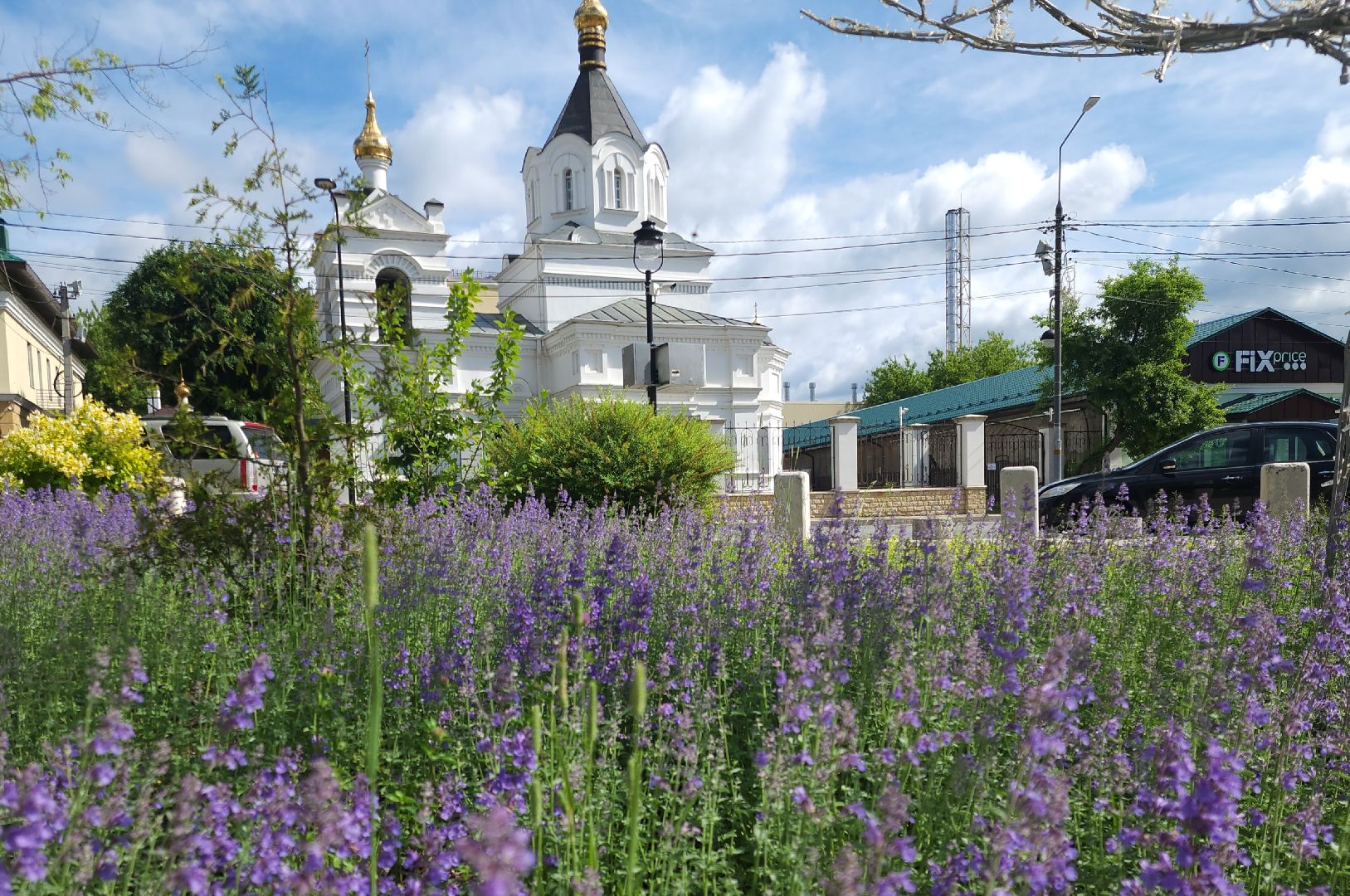 Звенигород кинематографический, По местам киносьемок, культура,