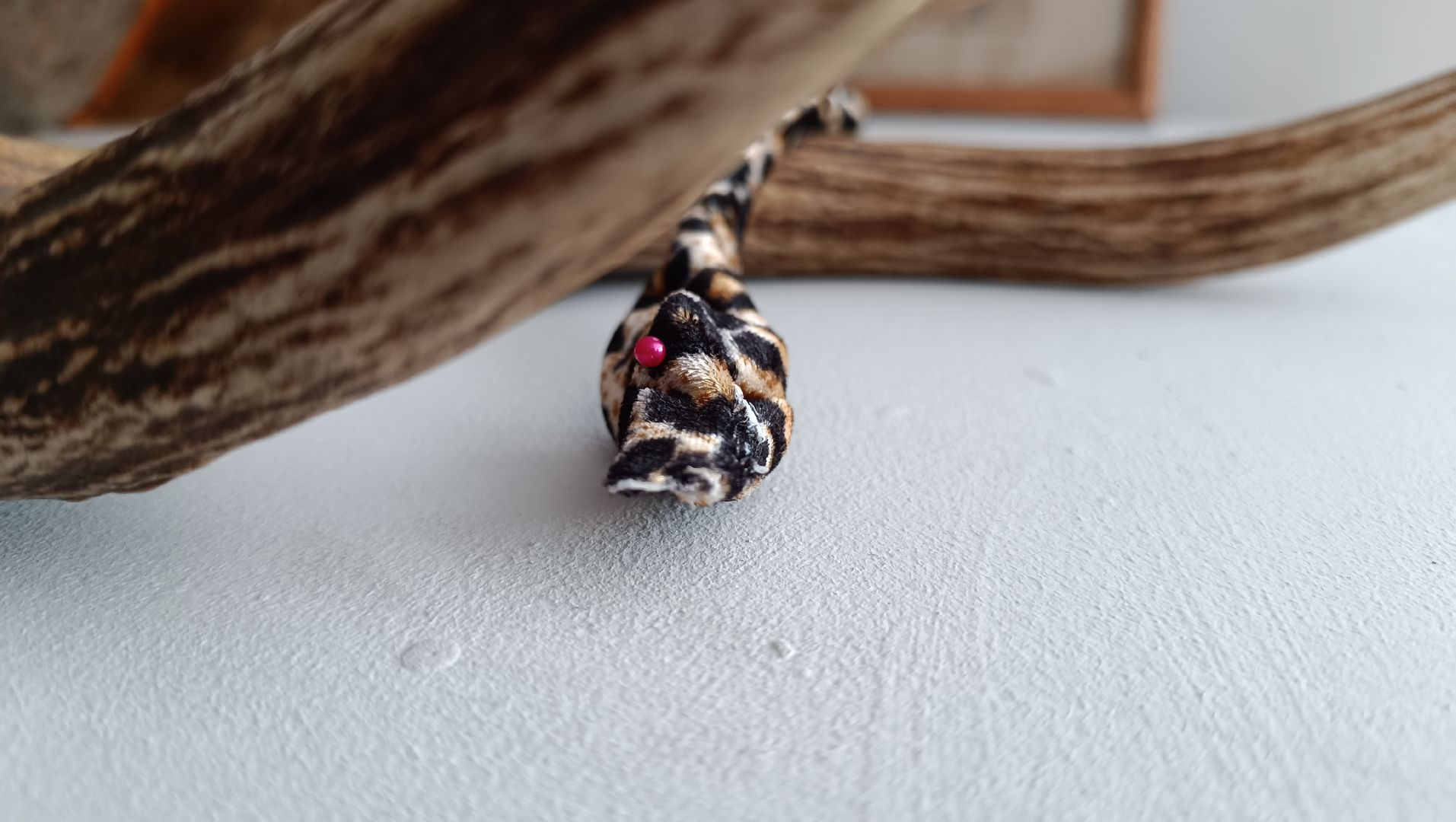 квест, лобня, школьники, дети, экскурсии, история,