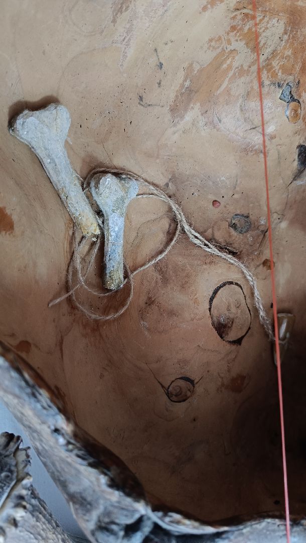 квест, лобня, школьники, дети, экскурсии, история,