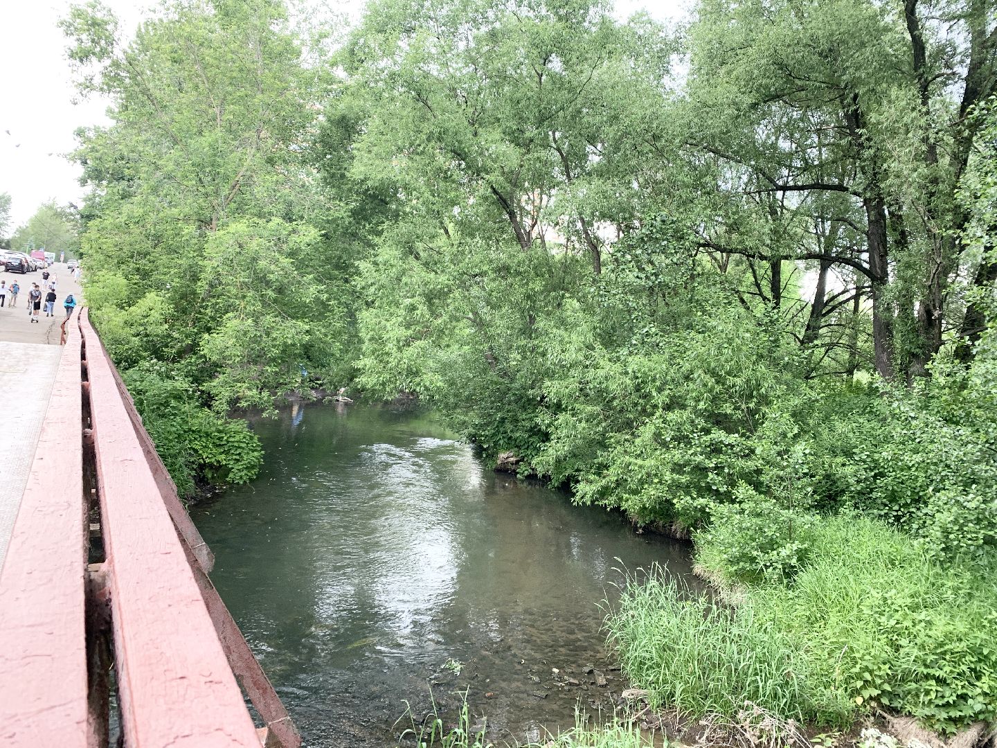 Балашиха, Подмосковье, Дороги, пешеходная дорожка, Народные тропы,