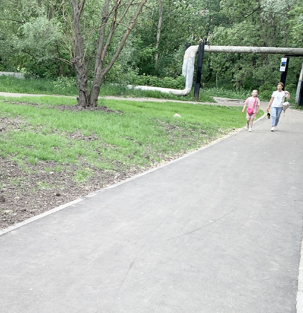 Балашиха, Подмосковье, Дороги, пешеходная дорожка, Народные тропы,