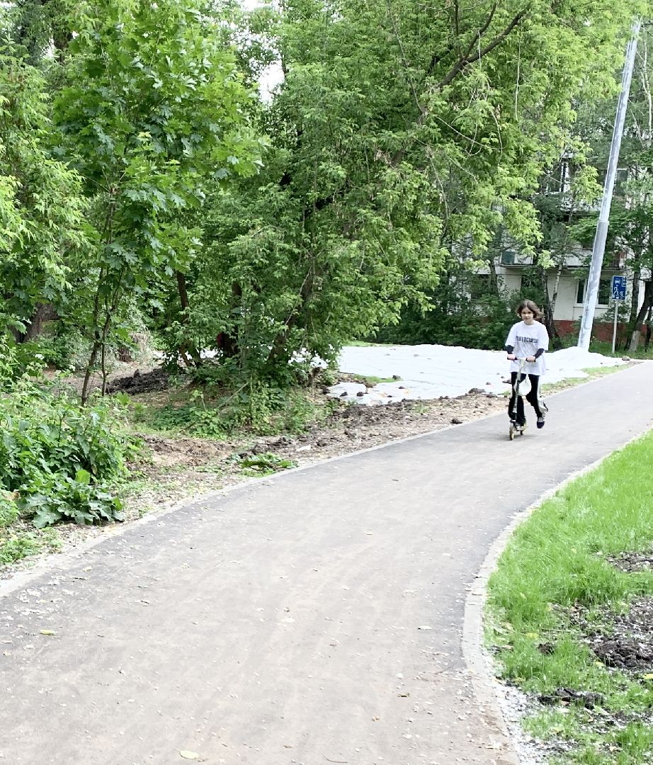 Балашиха, Подмосковье, Дороги, пешеходная дорожка, Народные тропы,