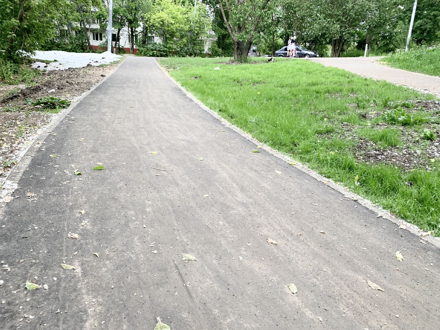 Балашиха, Подмосковье, Дороги, пешеходная дорожка, Народные тропы,