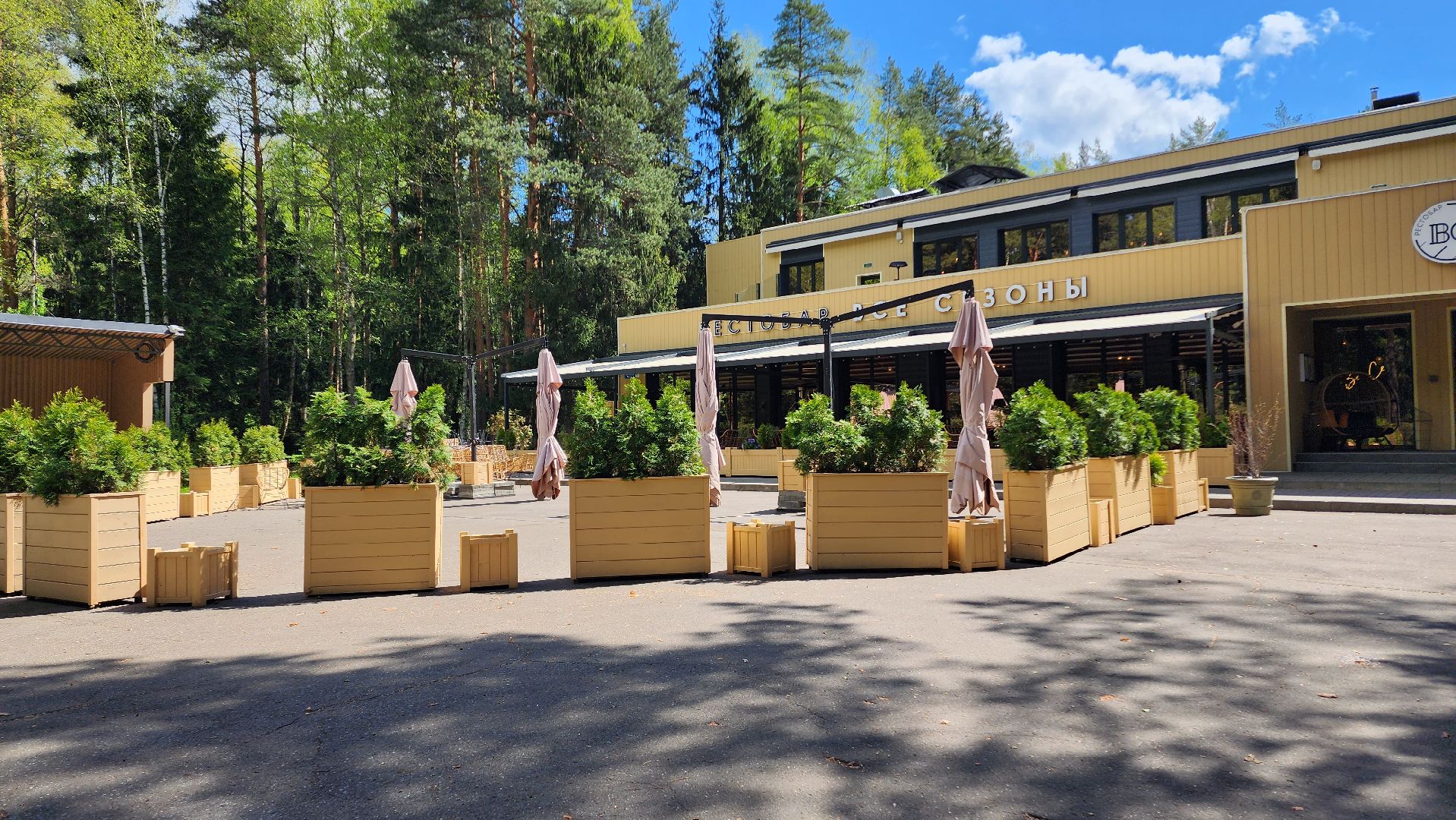 Домодедово, Подмосковье, летняя веранда, Терраса, парк, Елочки, Культура, Общество, общепит, Ресторан,