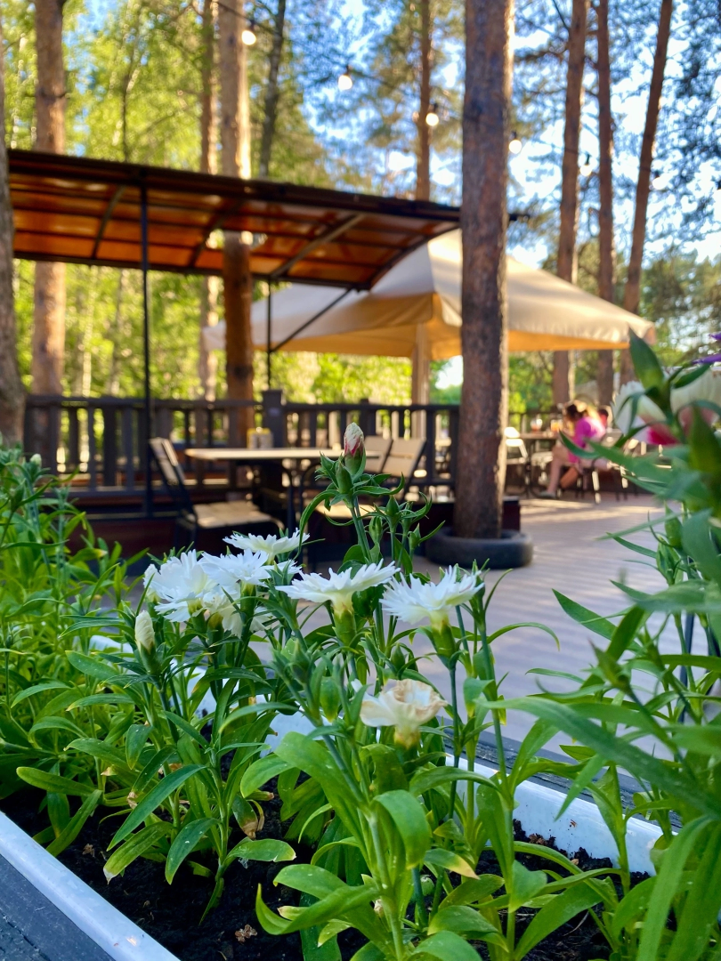 Домодедово, Подмосковье, летняя веранда, Терраса, парк, Елочки, Культура, Общество, общепит, Ресторан,