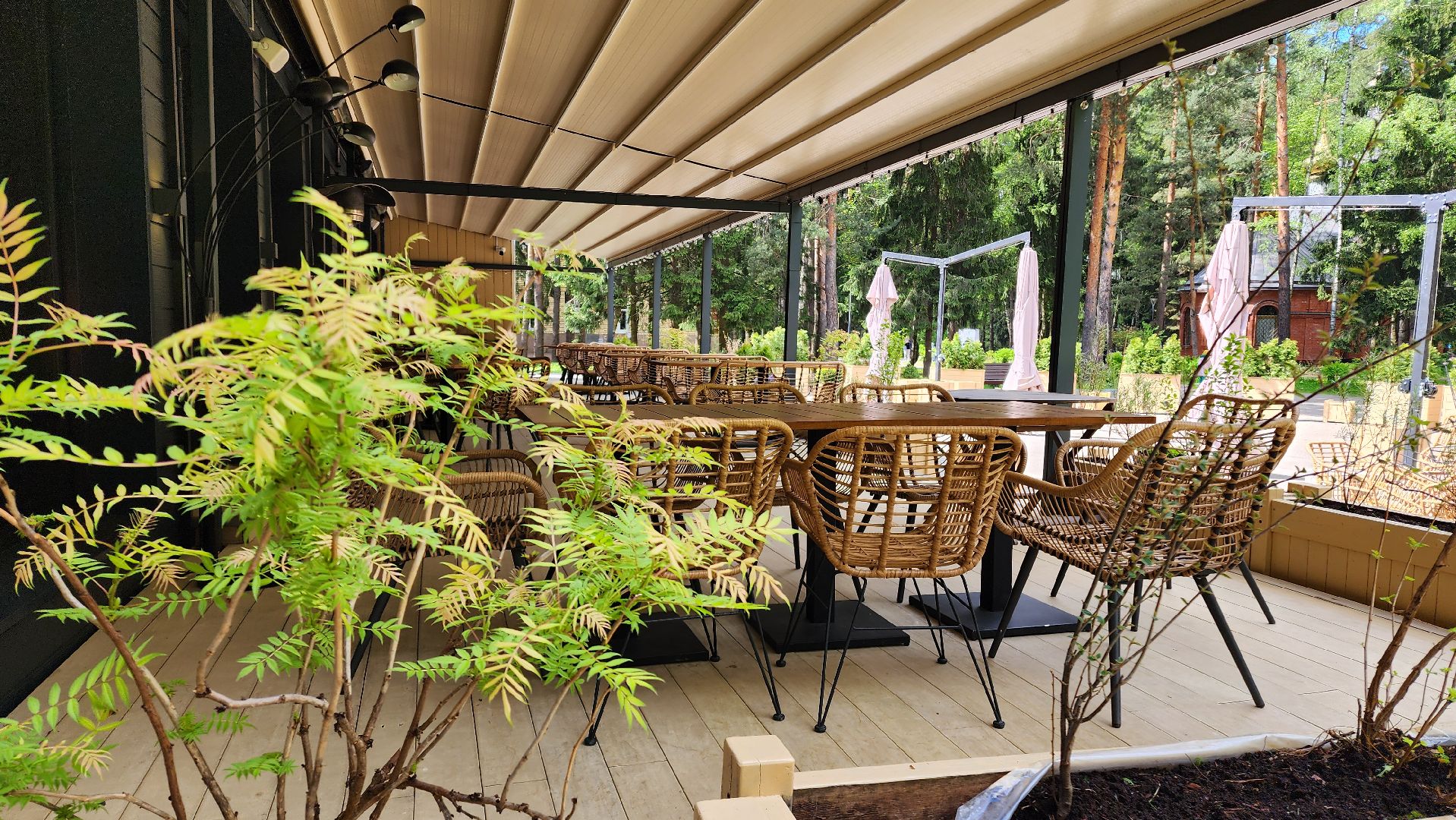 Домодедово, Подмосковье, летняя веранда, Терраса, парк, Елочки, Культура, Общество, общепит, Ресторан,