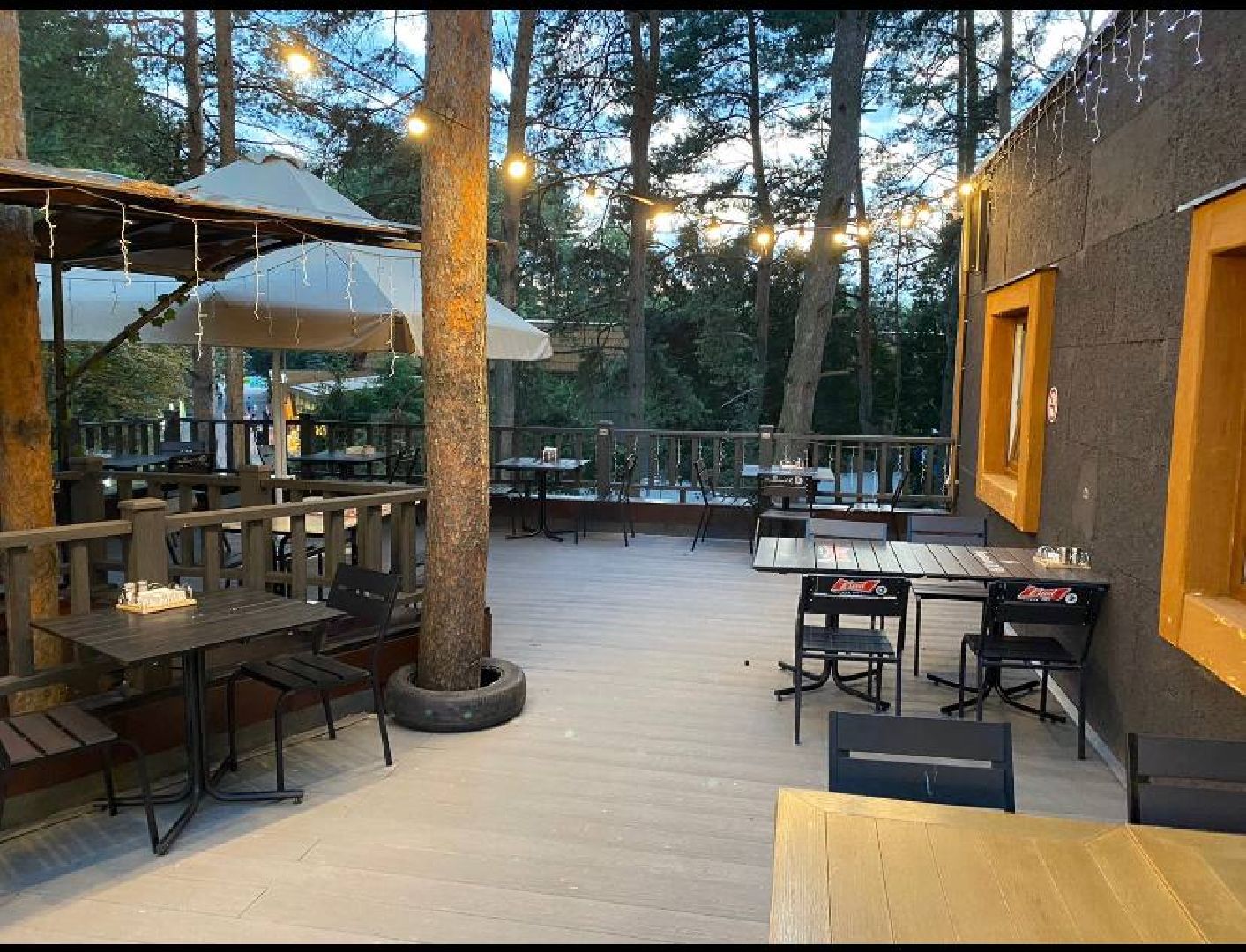 Домодедово, Подмосковье, летняя веранда, Терраса, парк, Елочки, Культура, Общество, общепит, Ресторан,