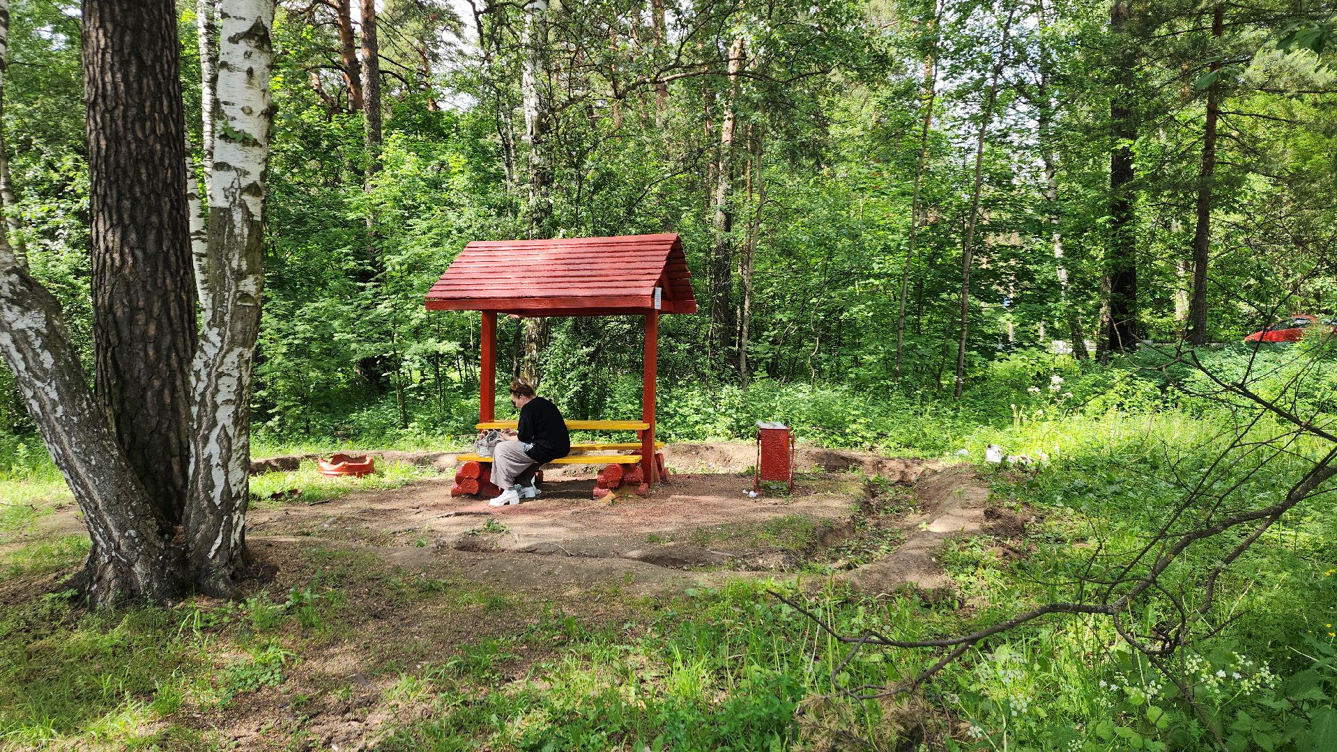 ивантеевка, благоустройство, лес, зона отдыха,