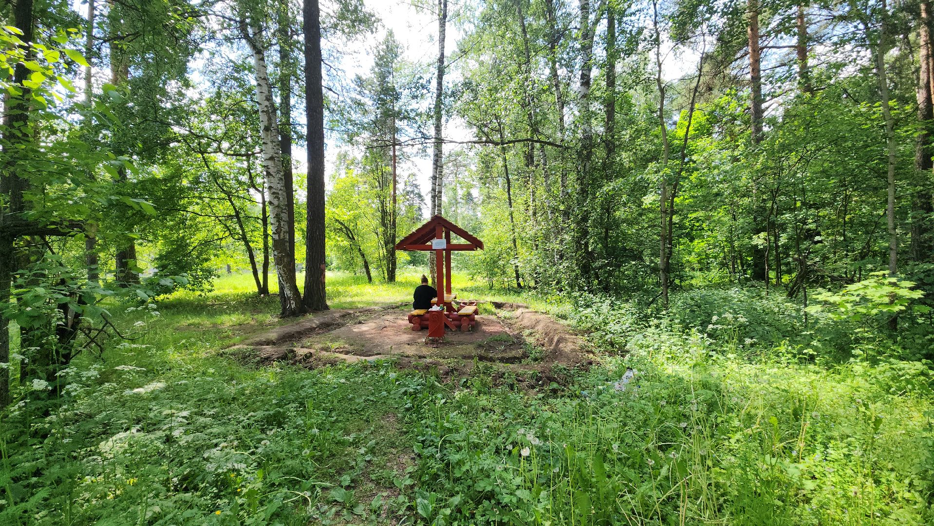 ивантеевка, благоустройство, лес, зона отдыха,