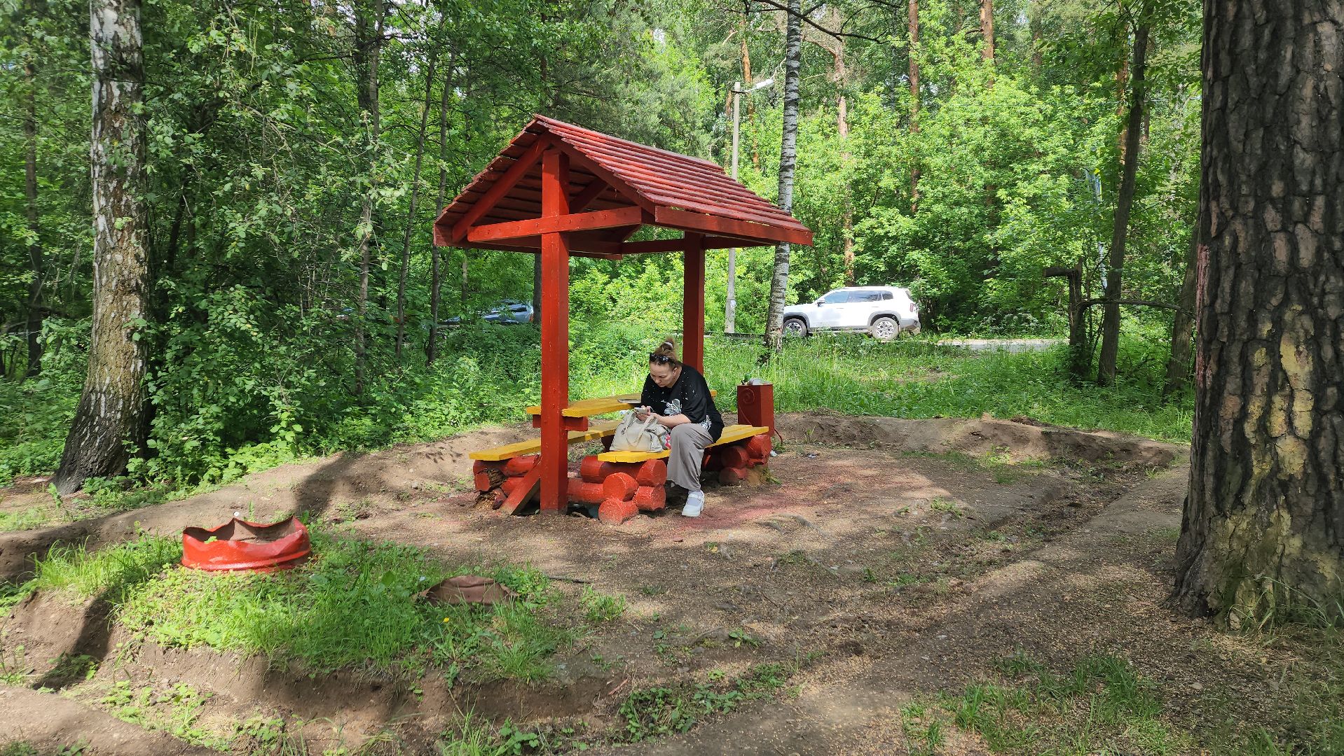 ивантеевка, благоустройство, лес, зона отдыха,