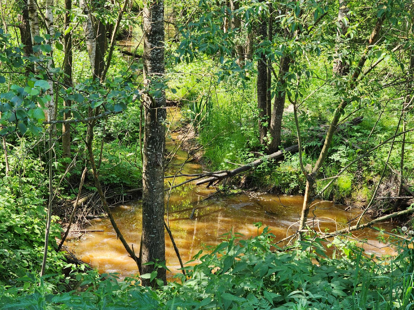 ногинск, снт, богородский городской округ, жители, общество, подтопления, реки,