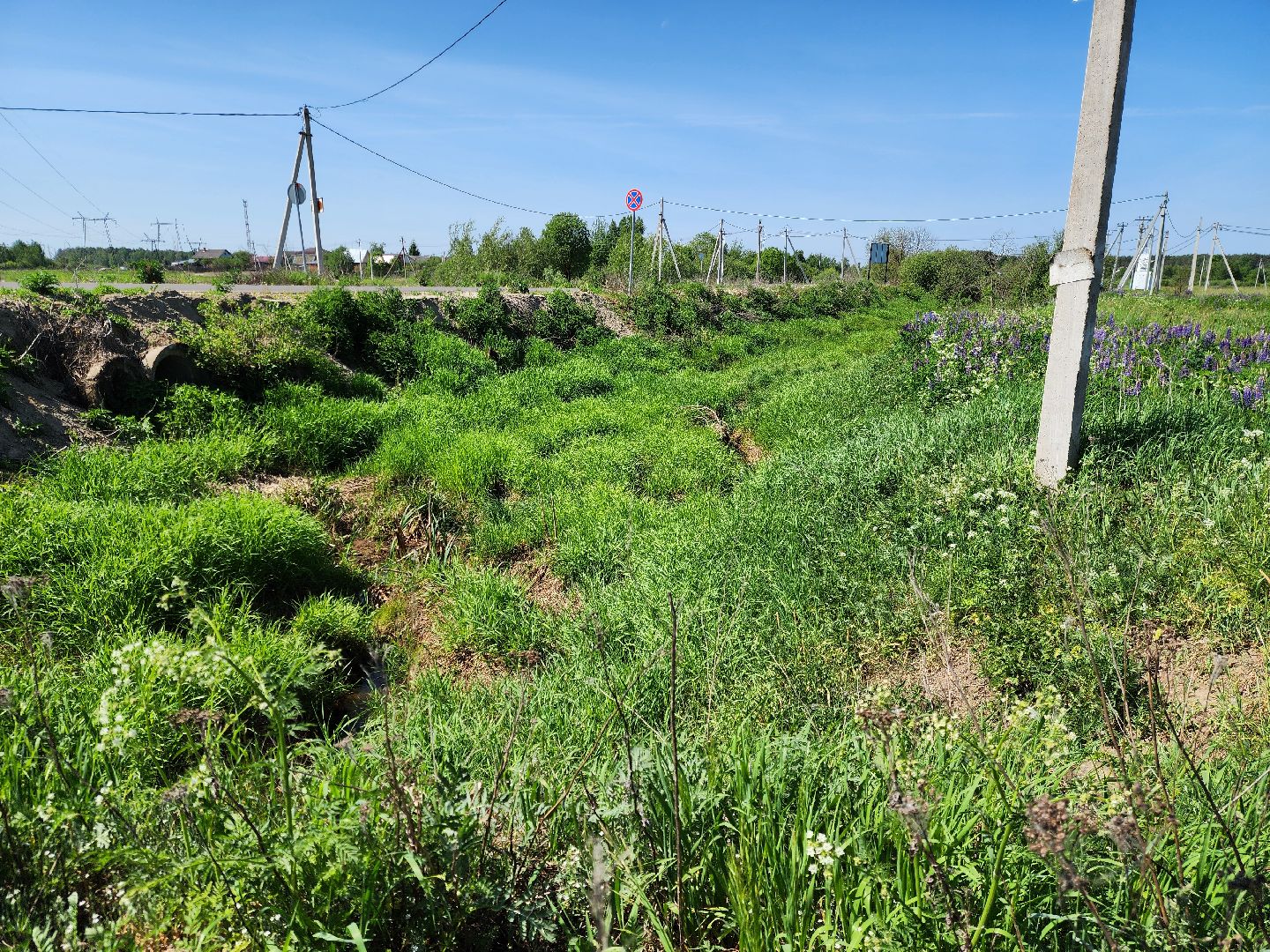 ногинск, снт, богородский городской округ, жители, общество, подтопления, реки,