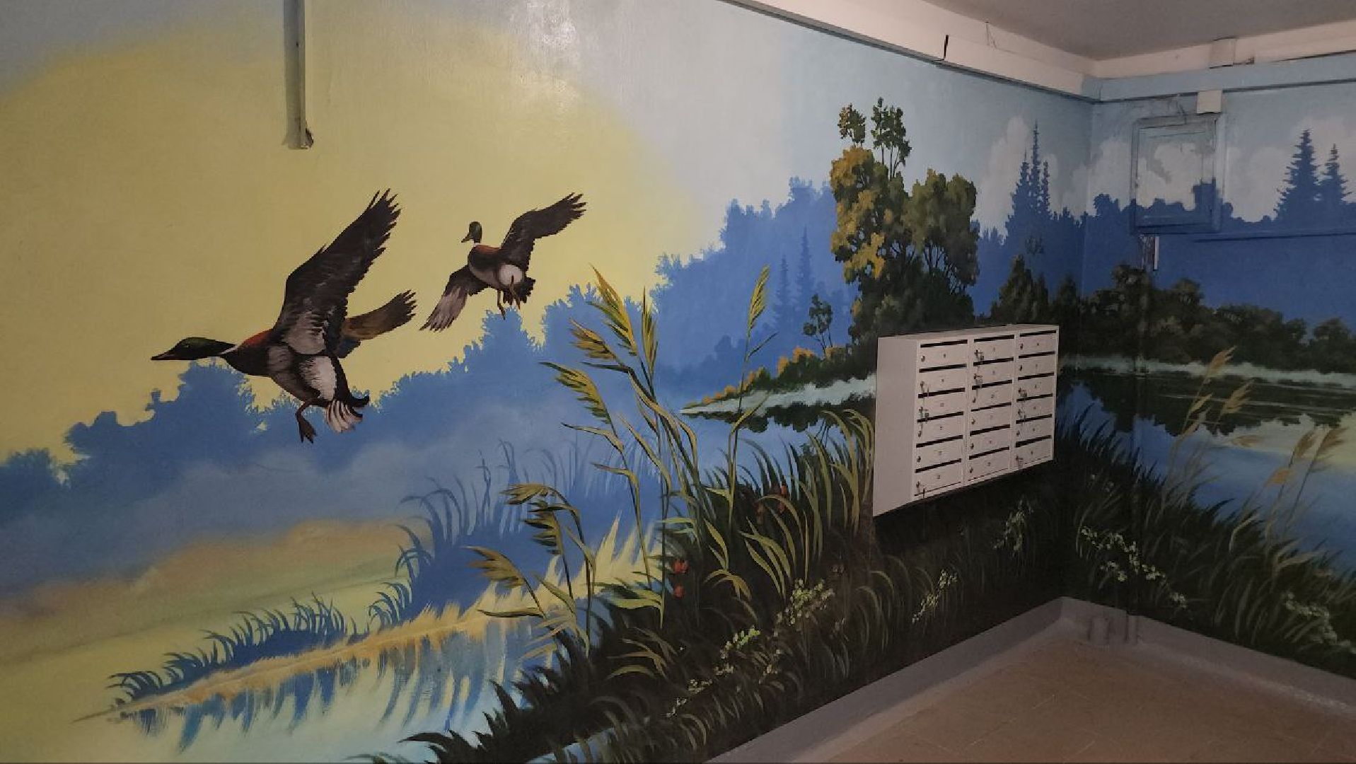 люберцы, ремонт подъездов, управляющая компания, программа губернатора,