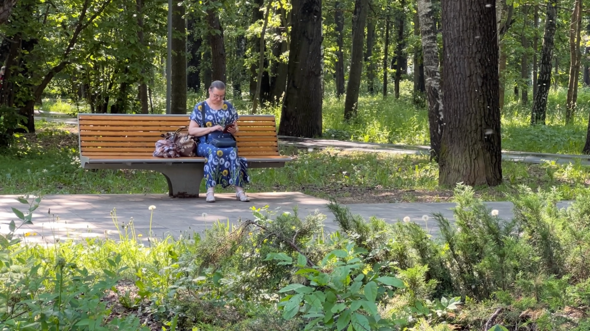 химки, благоустройство, парк, реконструкция парка,