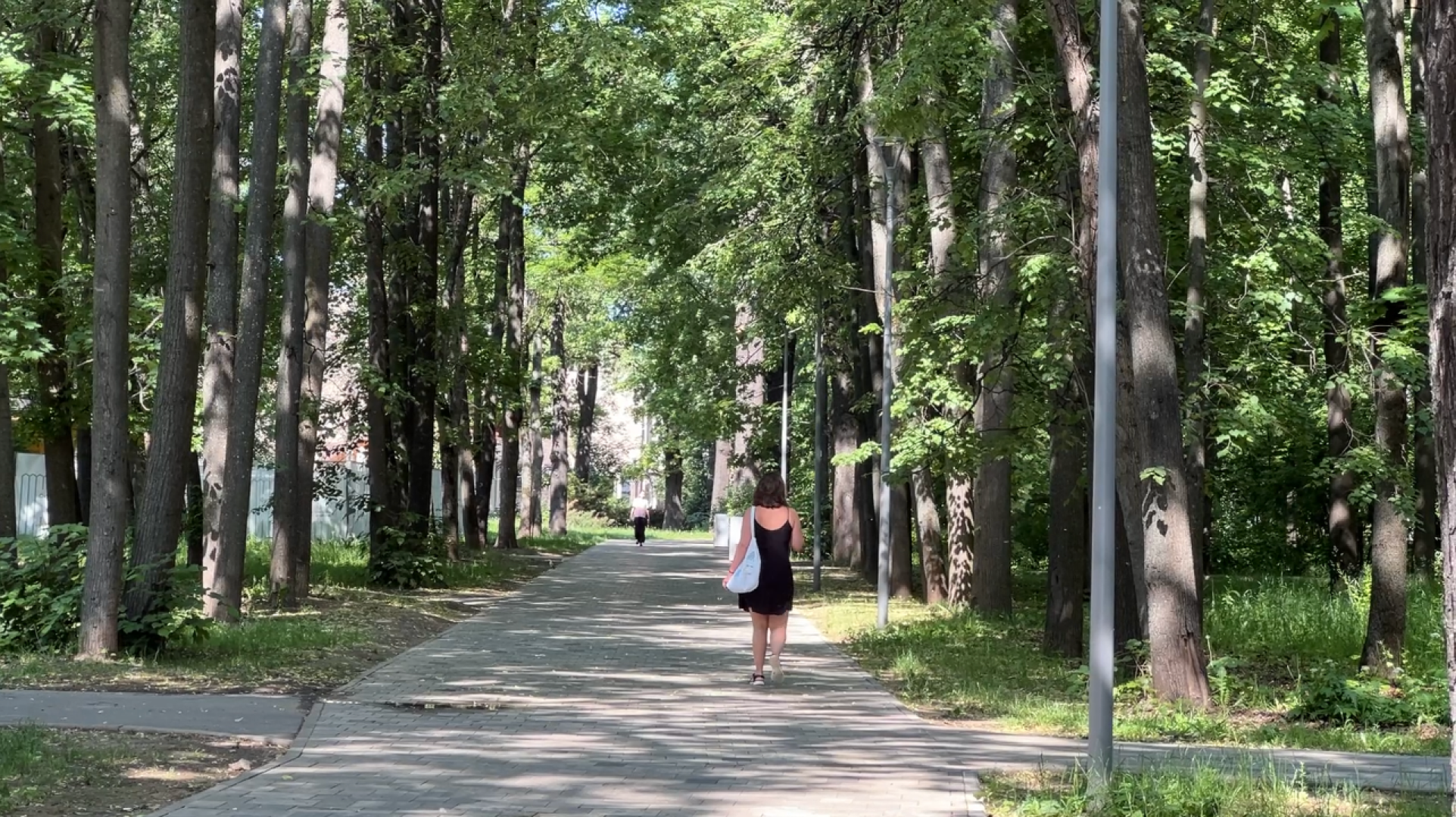 химки, благоустройство, парк, реконструкция парка,