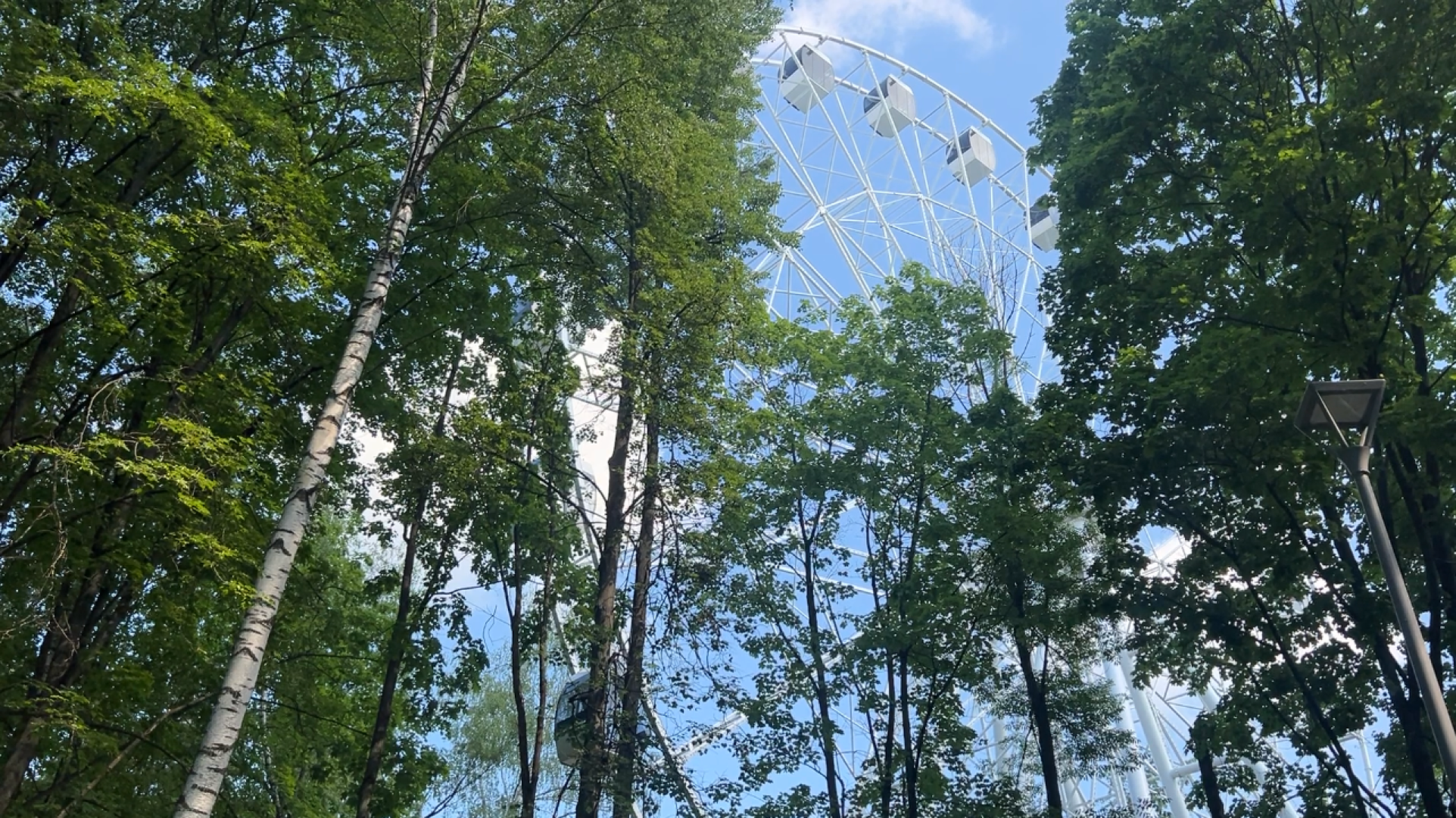 химки, благоустройство, парк, реконструкция парка,