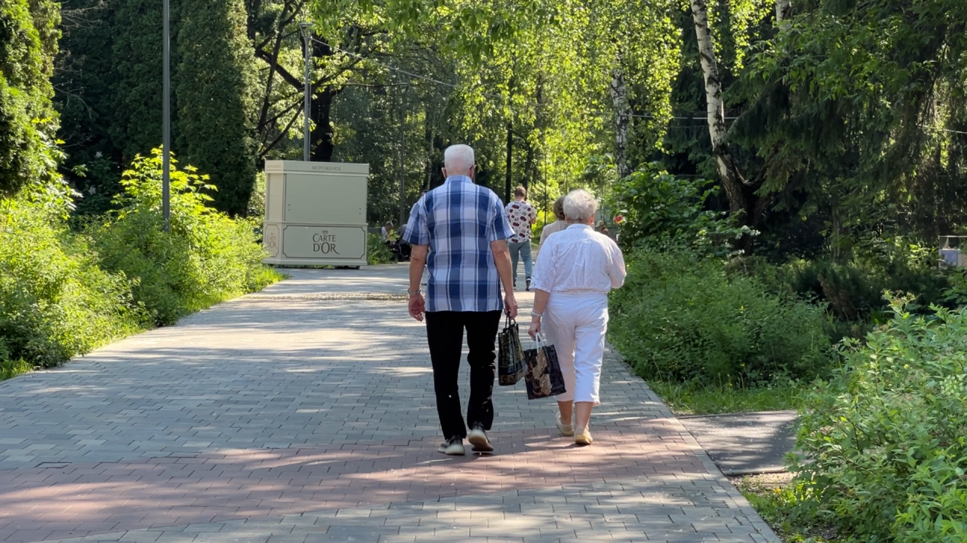 химки, благоустройство, парк, реконструкция парка,