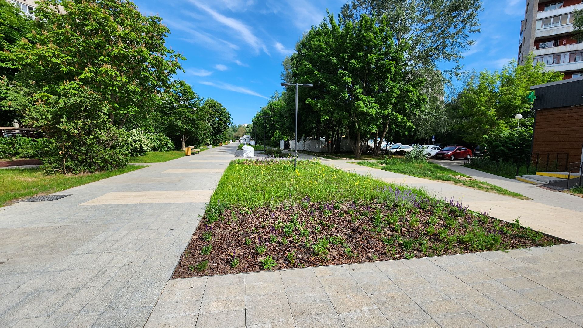 протвино, лесной бульвар, общественная территория, благоустройсво, реконструкция,