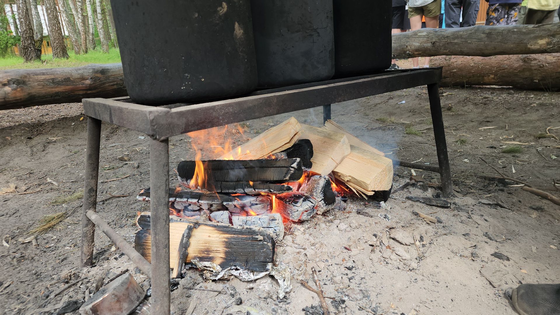 ступино, занятость подростков, летняя оздоровительная компания,