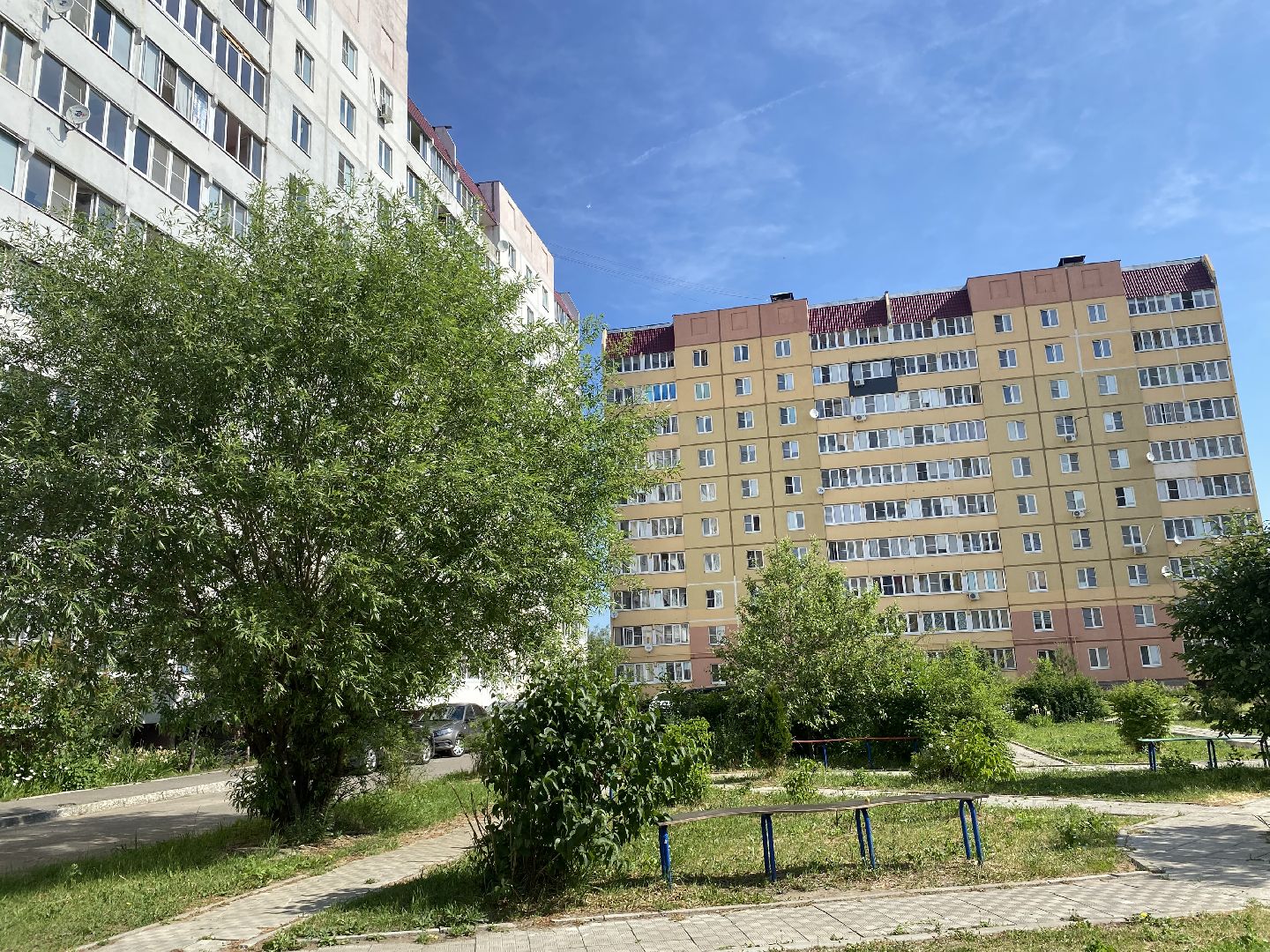 Площадка, контейнер