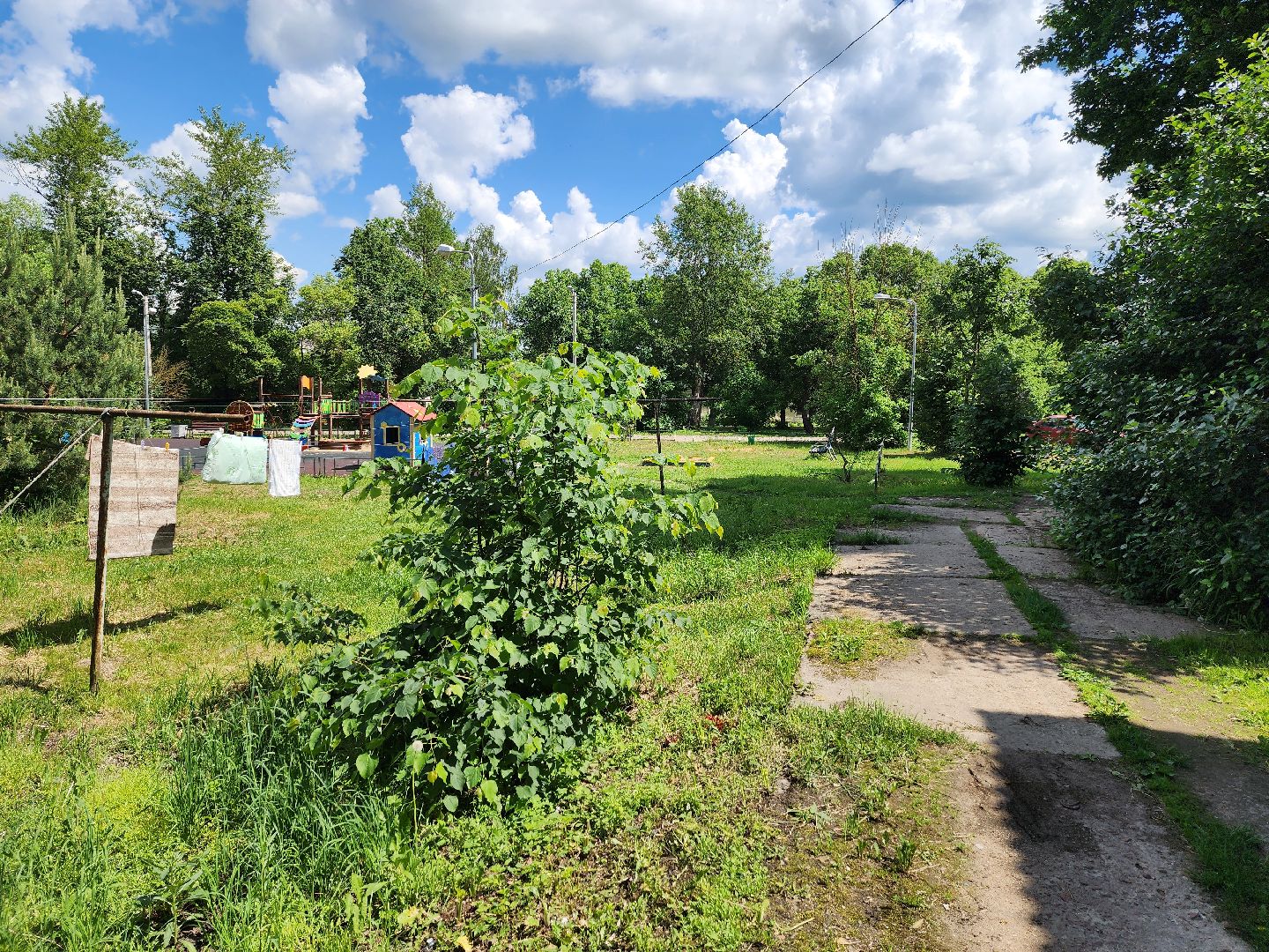 одинцово, благоустройсво, народная тропа, пешком, губернаторская программа,