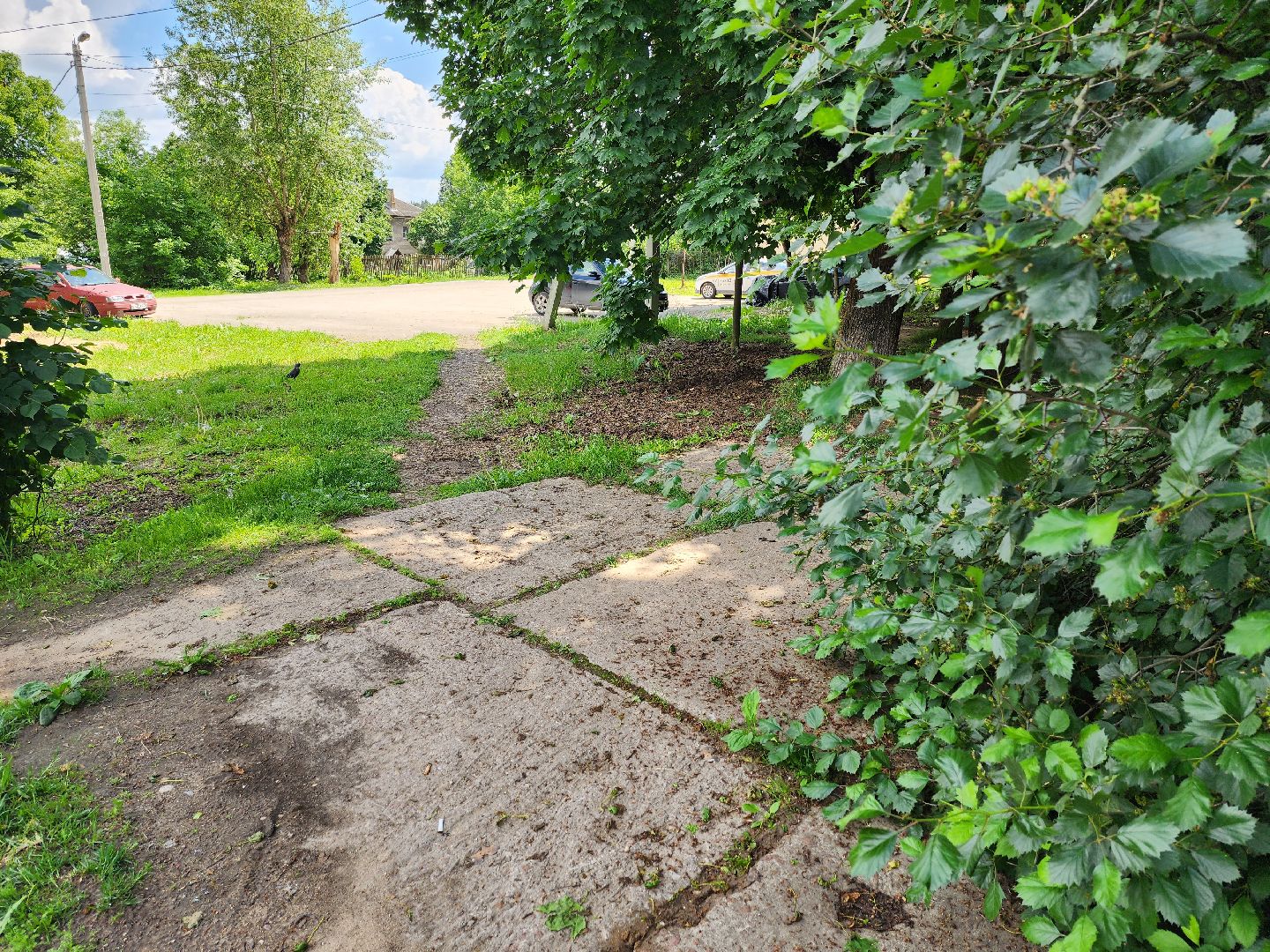 одинцово, благоустройсво, народная тропа, пешком, губернаторская программа,