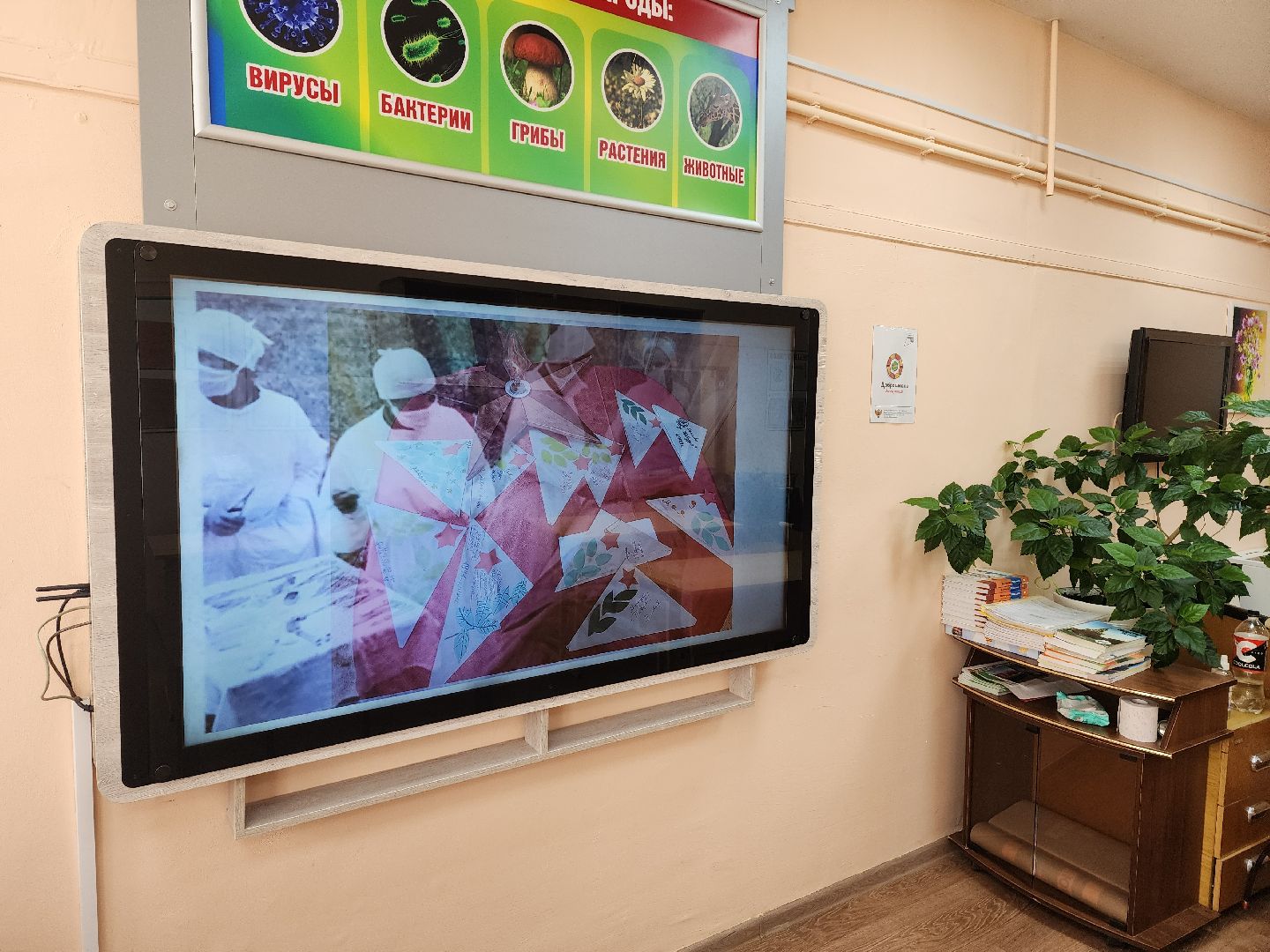 красноармейск, г.о. пушкинский, поисковики, парта героя,