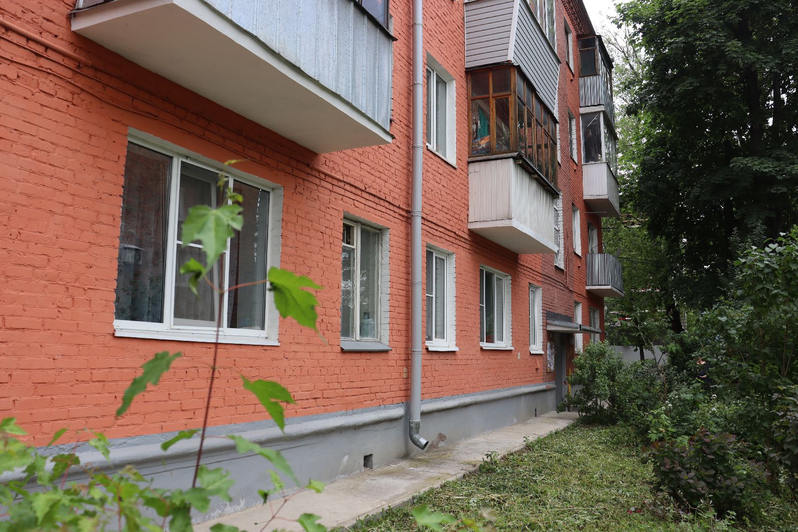 Котельники, ковровый,