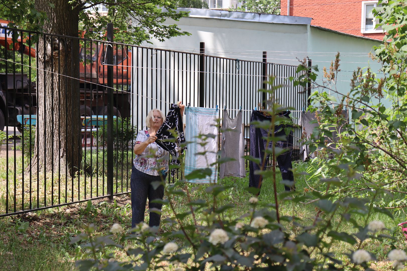 Котельники, ковровый,