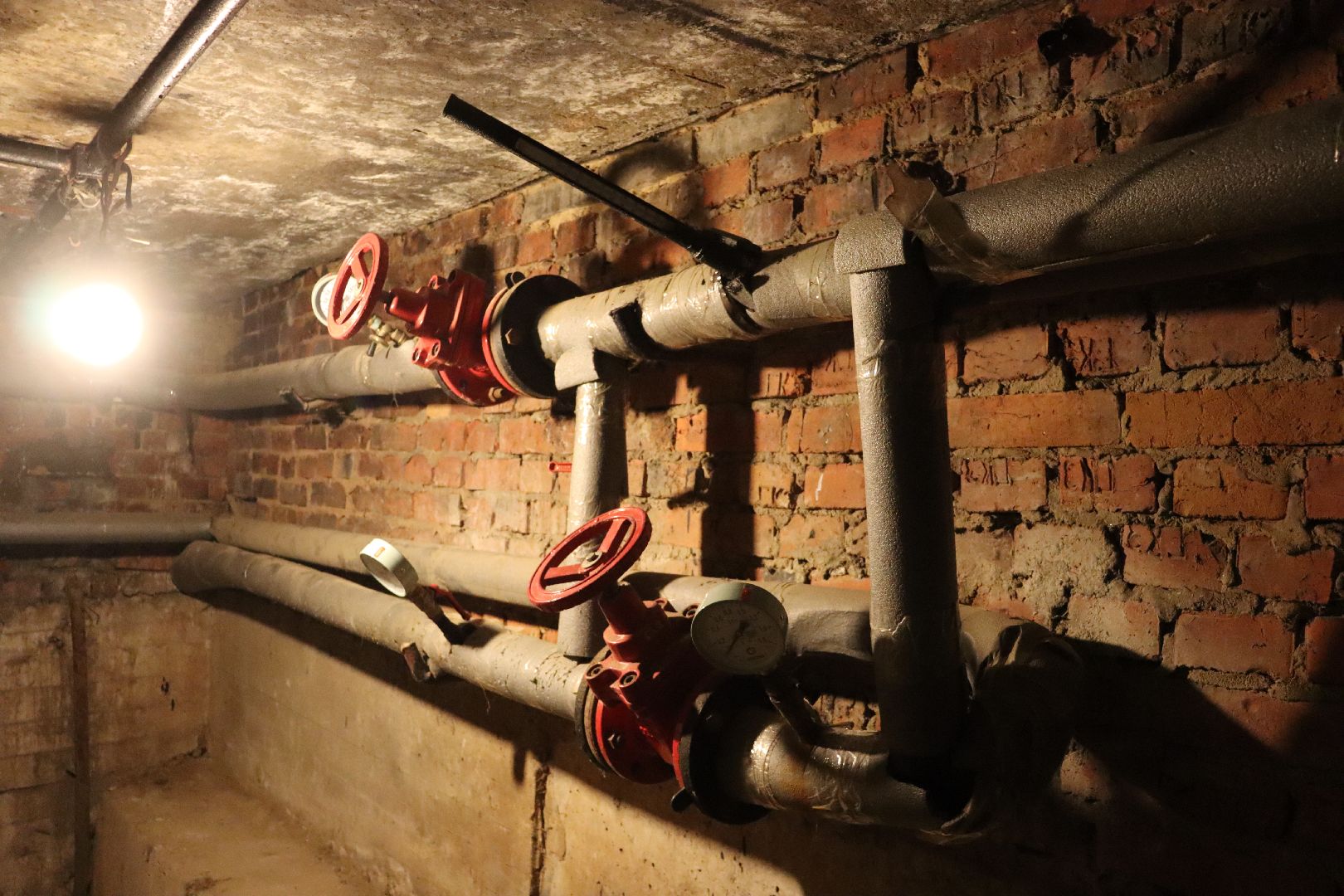 Котельники, ковровый,