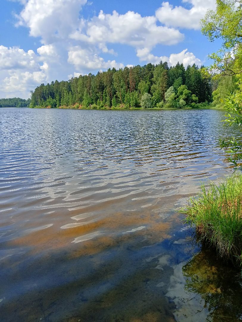 благоустройство, волоколамск, осташево,