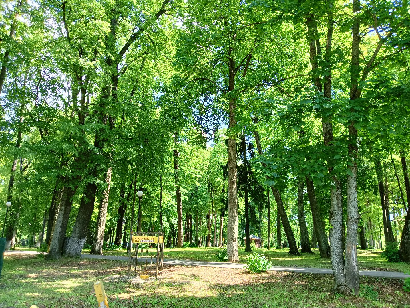 благоустройство, волоколамск, осташево,
