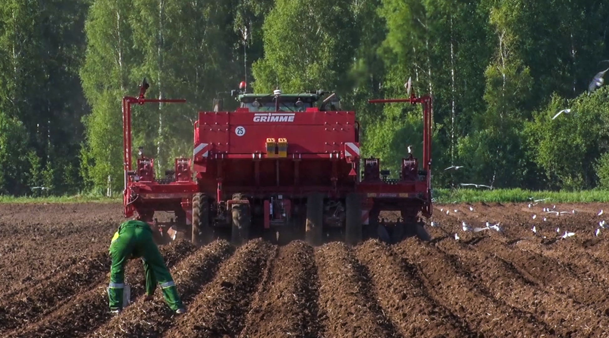 Клин, общество, экономика, сельское хозяйство, картофель,